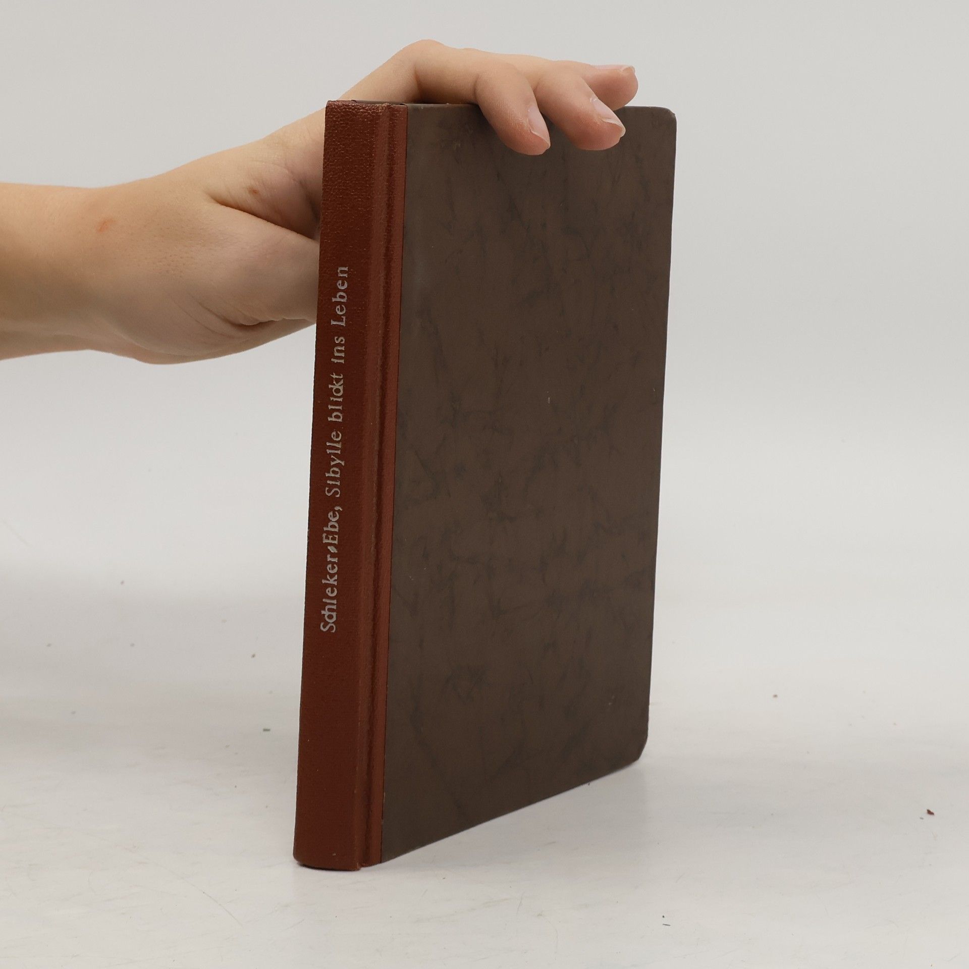 Kolektiv autorů Schleker Sibylle blickt ins Leben