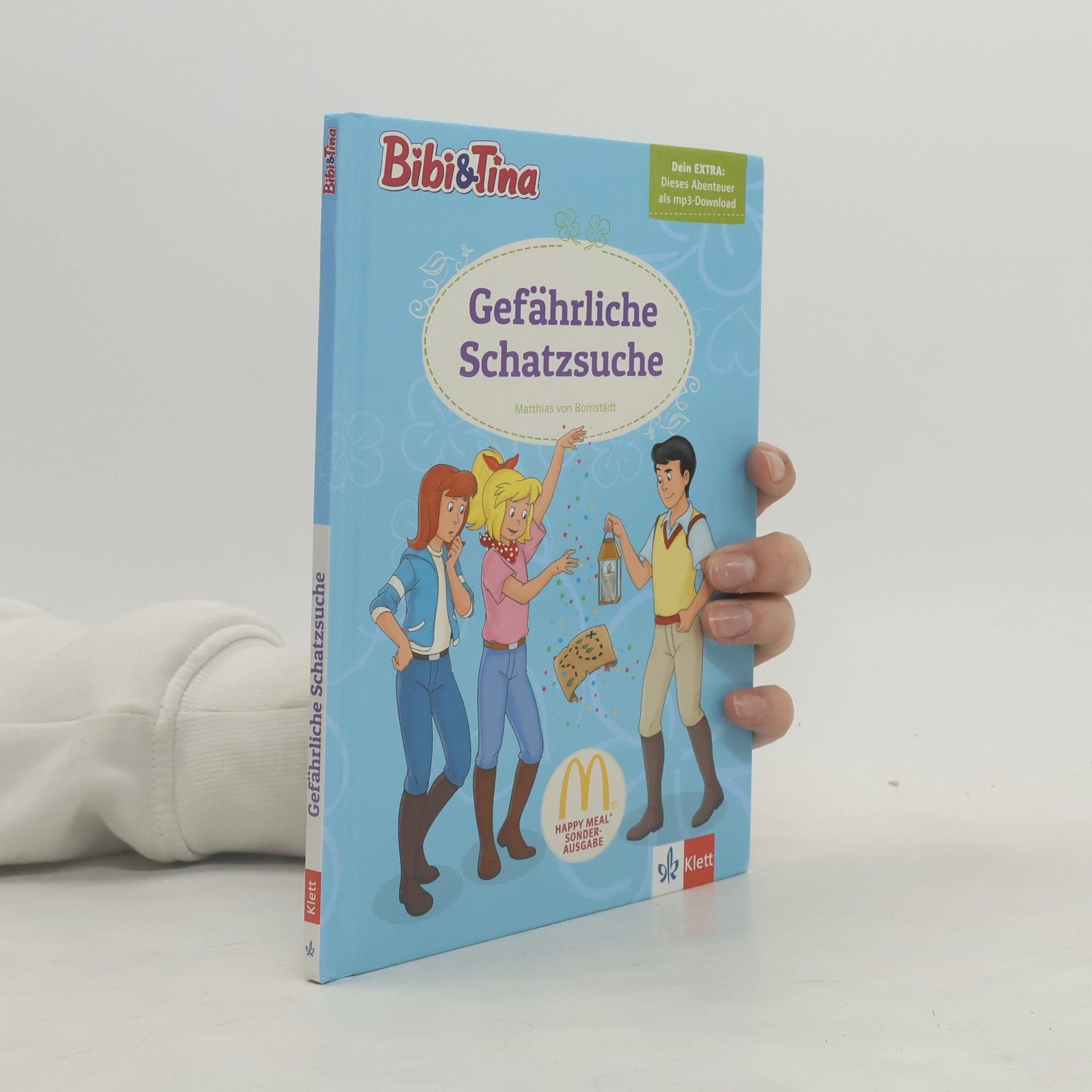 Matthias von Bornstädt Gefährliche Schatzsuche