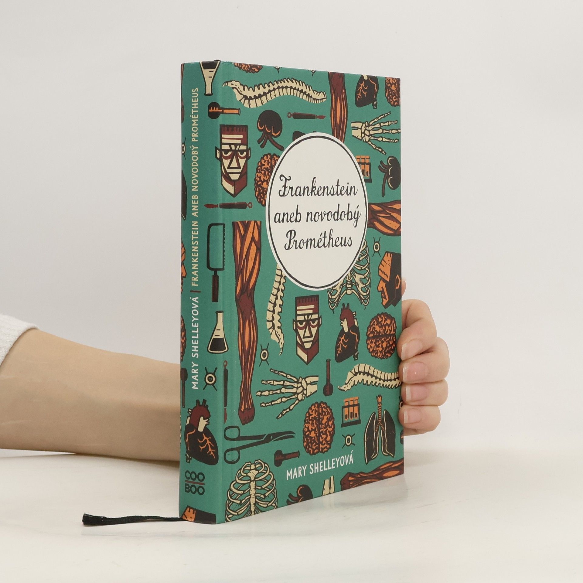 Mary Shelleyová Frankenstein aneb novodobý Prometheus