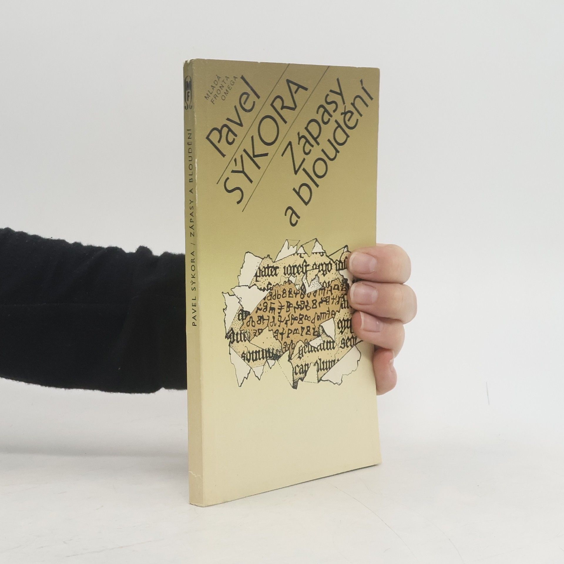 Pavel Sýkora Zápasy a bloudění