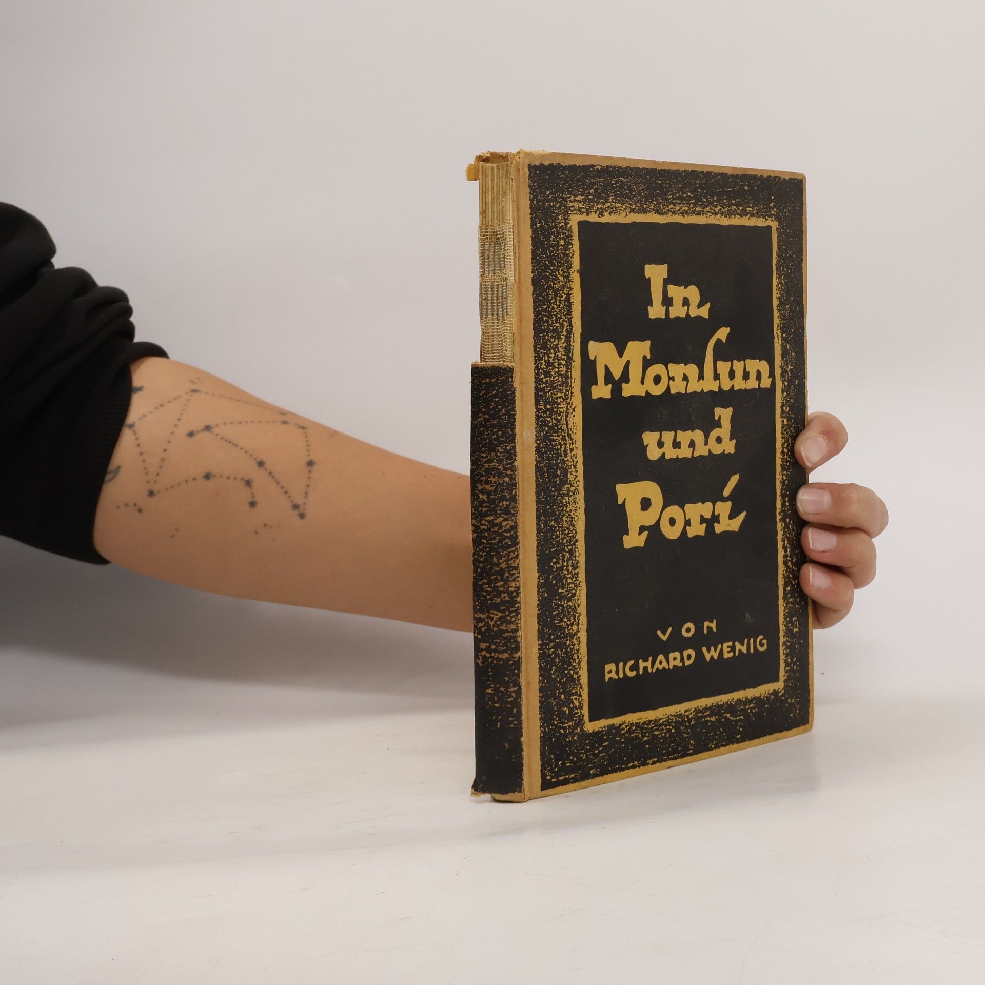 Richard Wenig In Monsun und Pori.