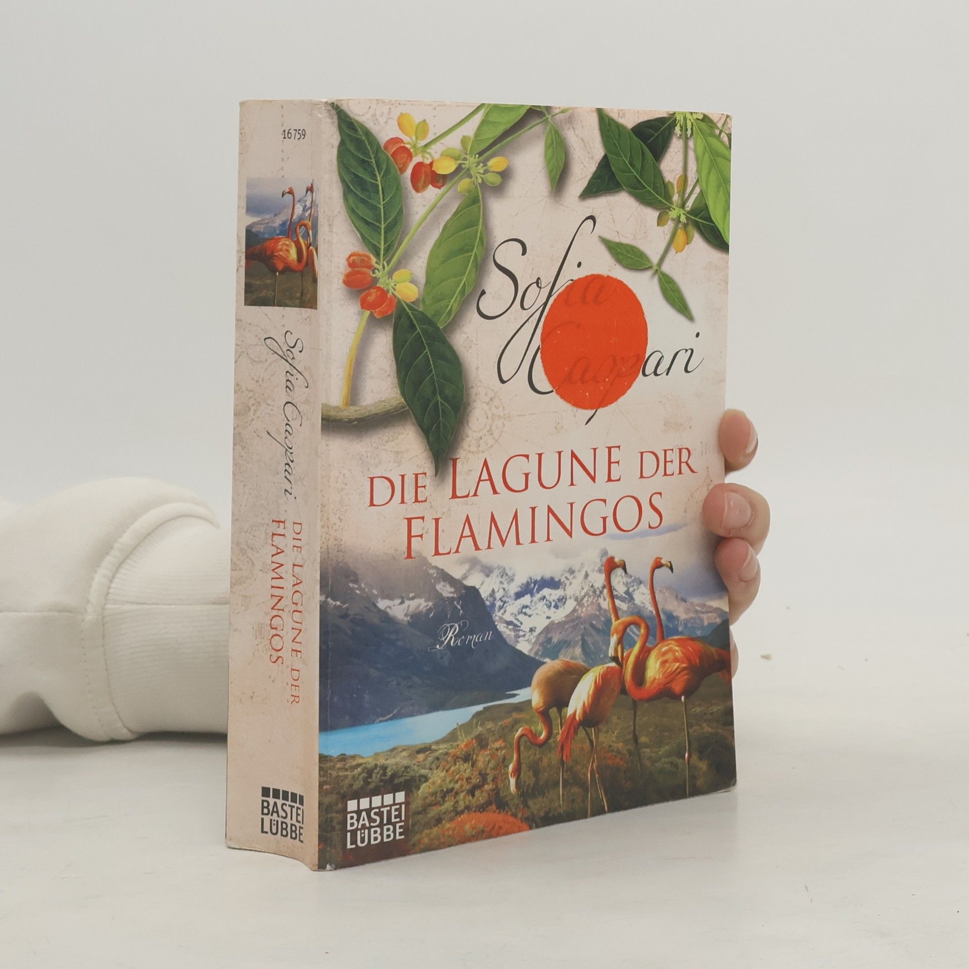 Sofia Caspari Die Lagune der Flamingos