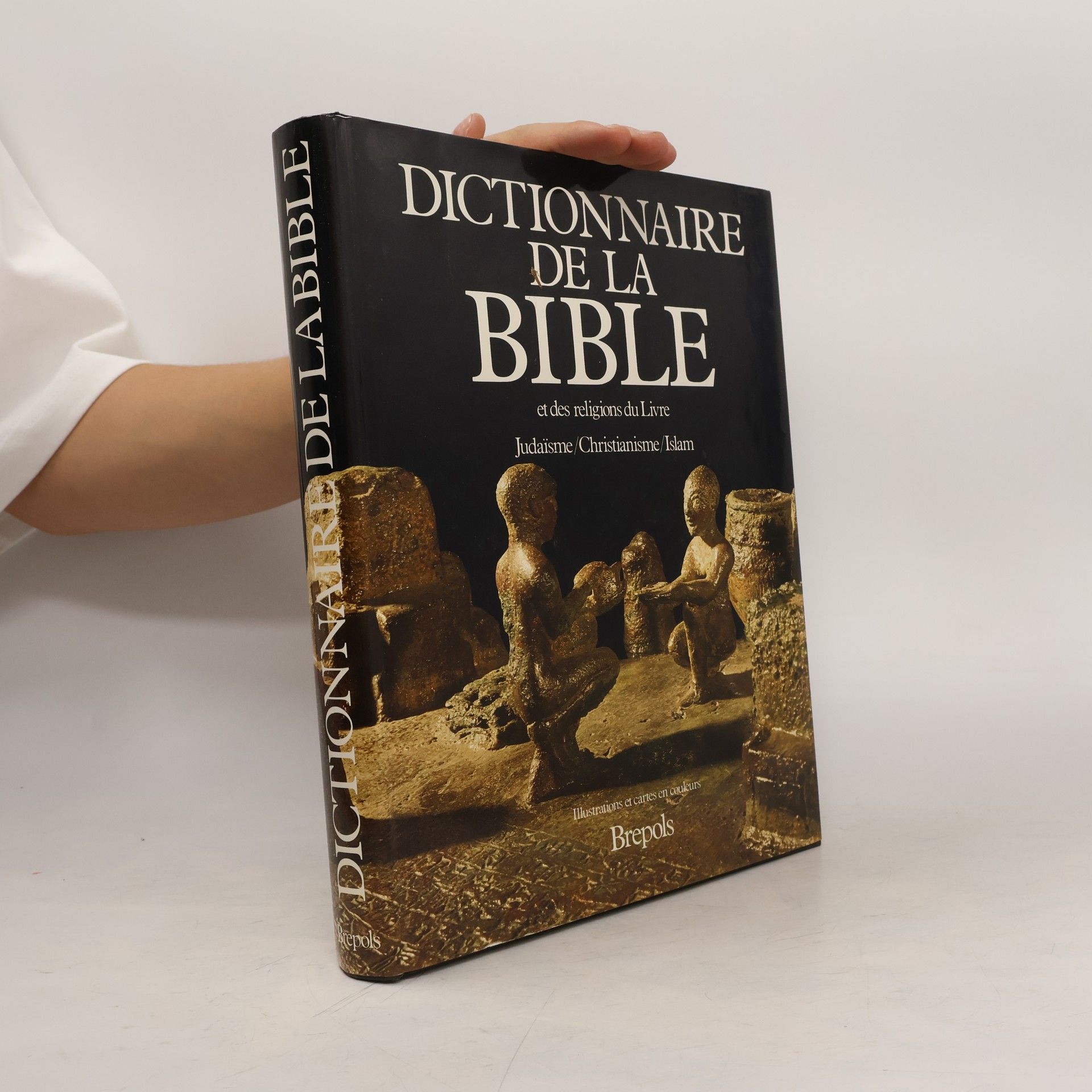 Collectif d'auteurs Dictionnaire de la Bible et des religions du Livre