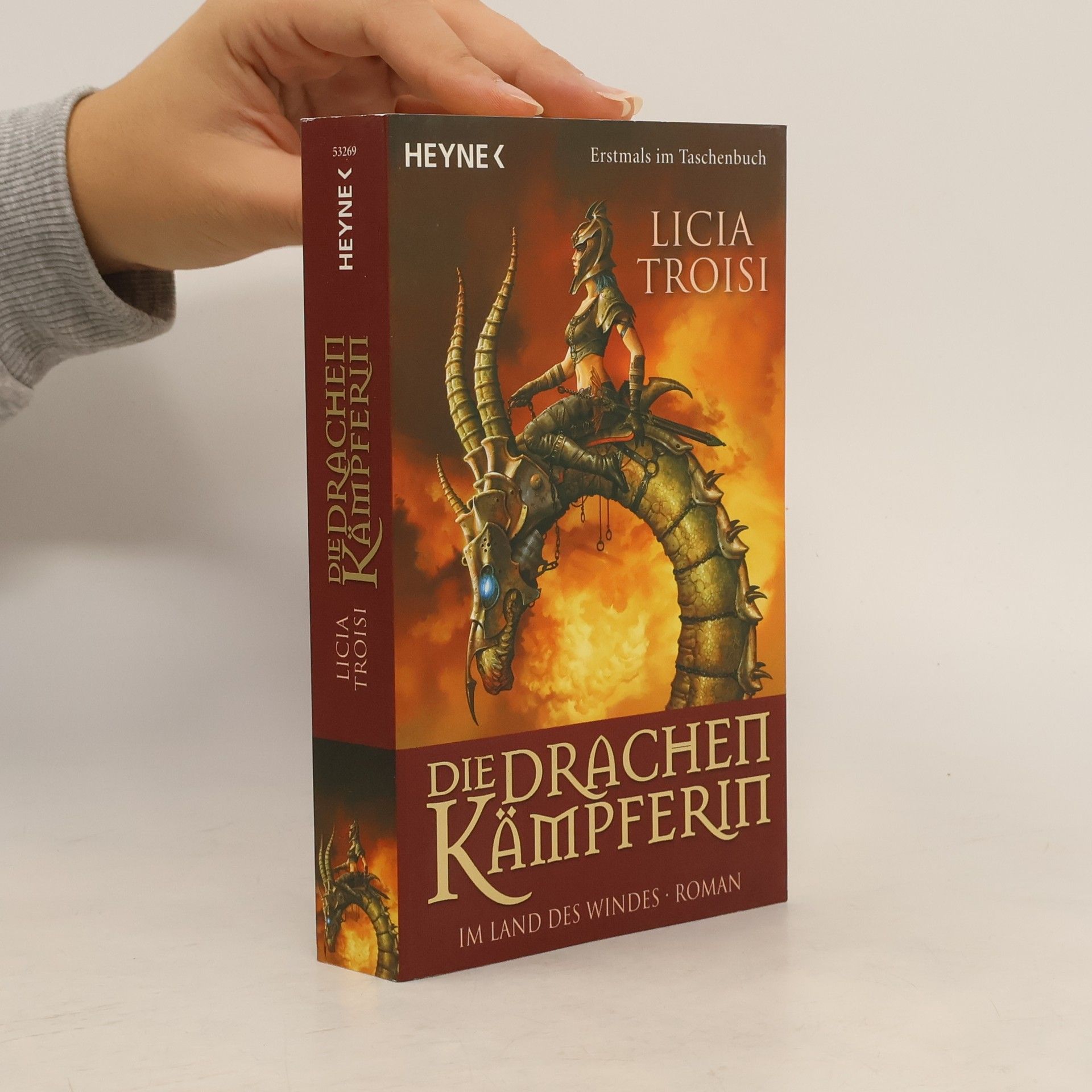 Die Drachenkämpferin