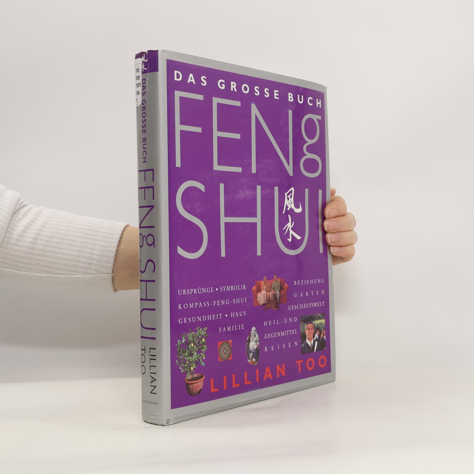Lillian Too Das grosse Buch Feng Shui