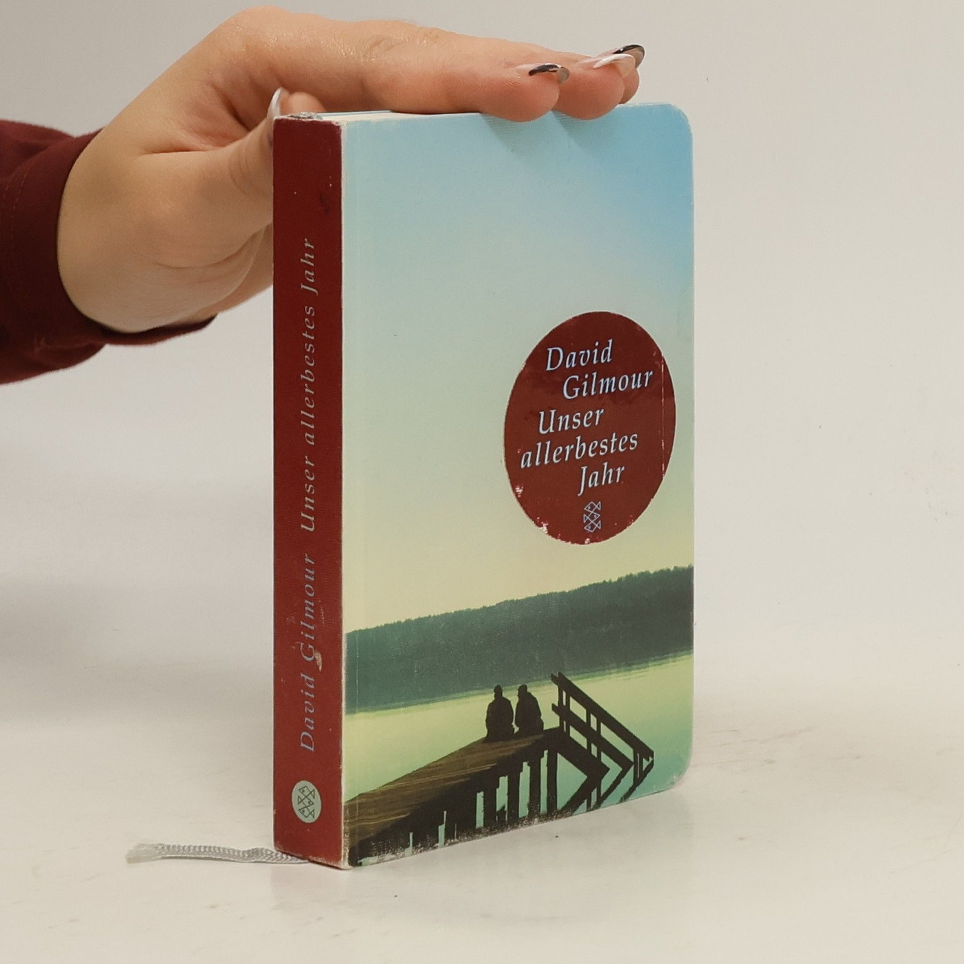 David Gilmour Unser allerbestes Jahr