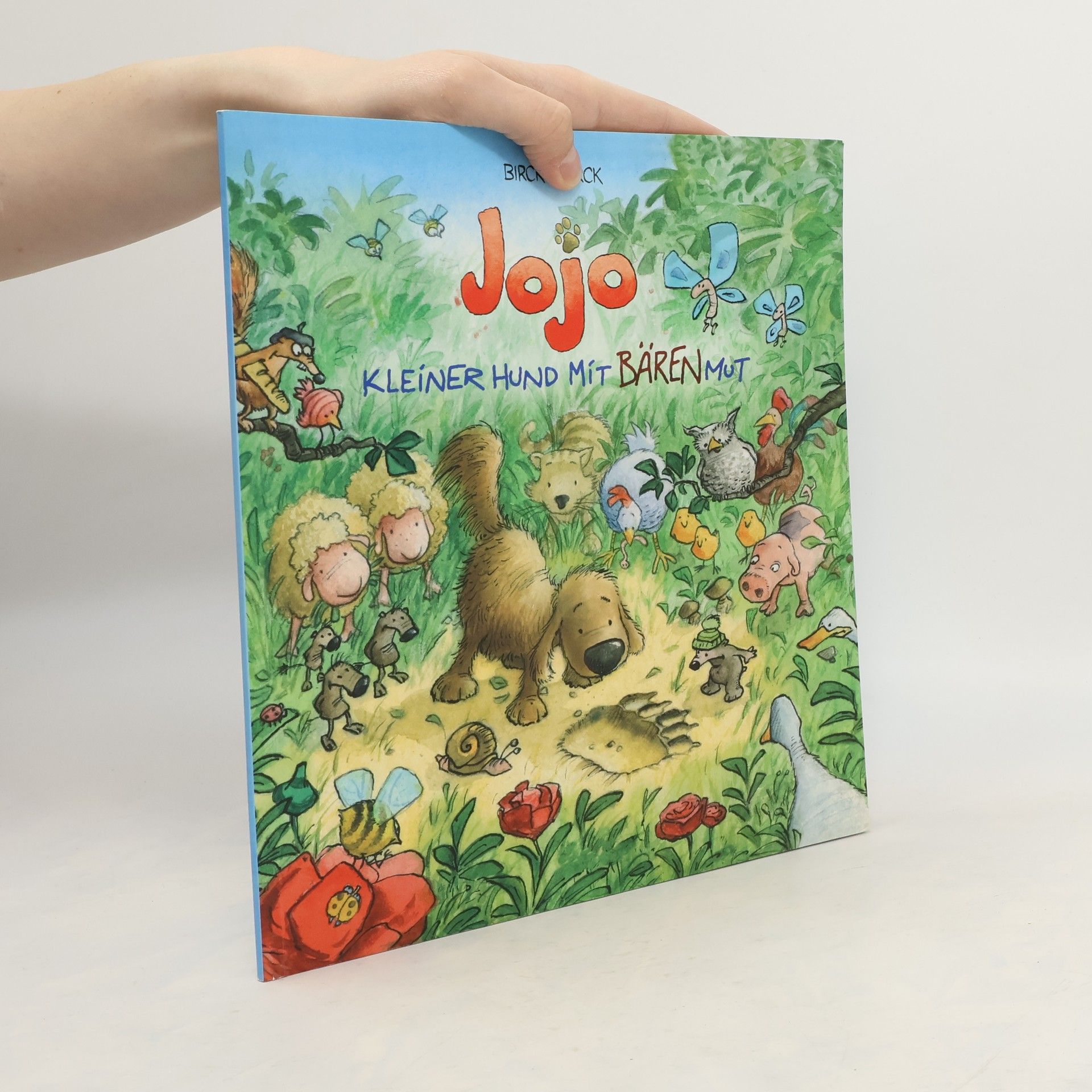 Jojo. Kleiner Hund mit Bärenmut