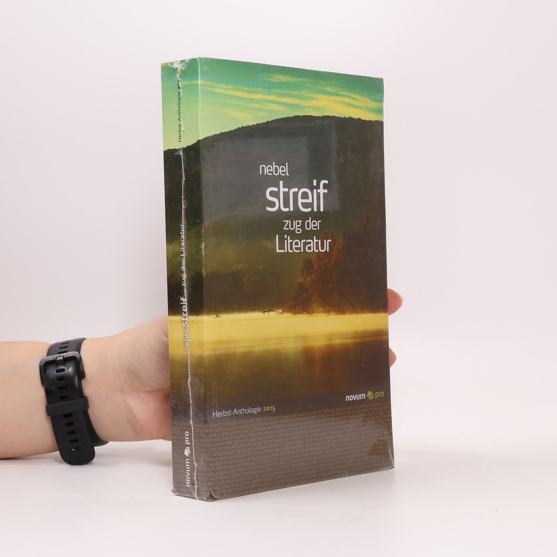 Wolfgang Bader Nebel - Streif - Zug der Literatur