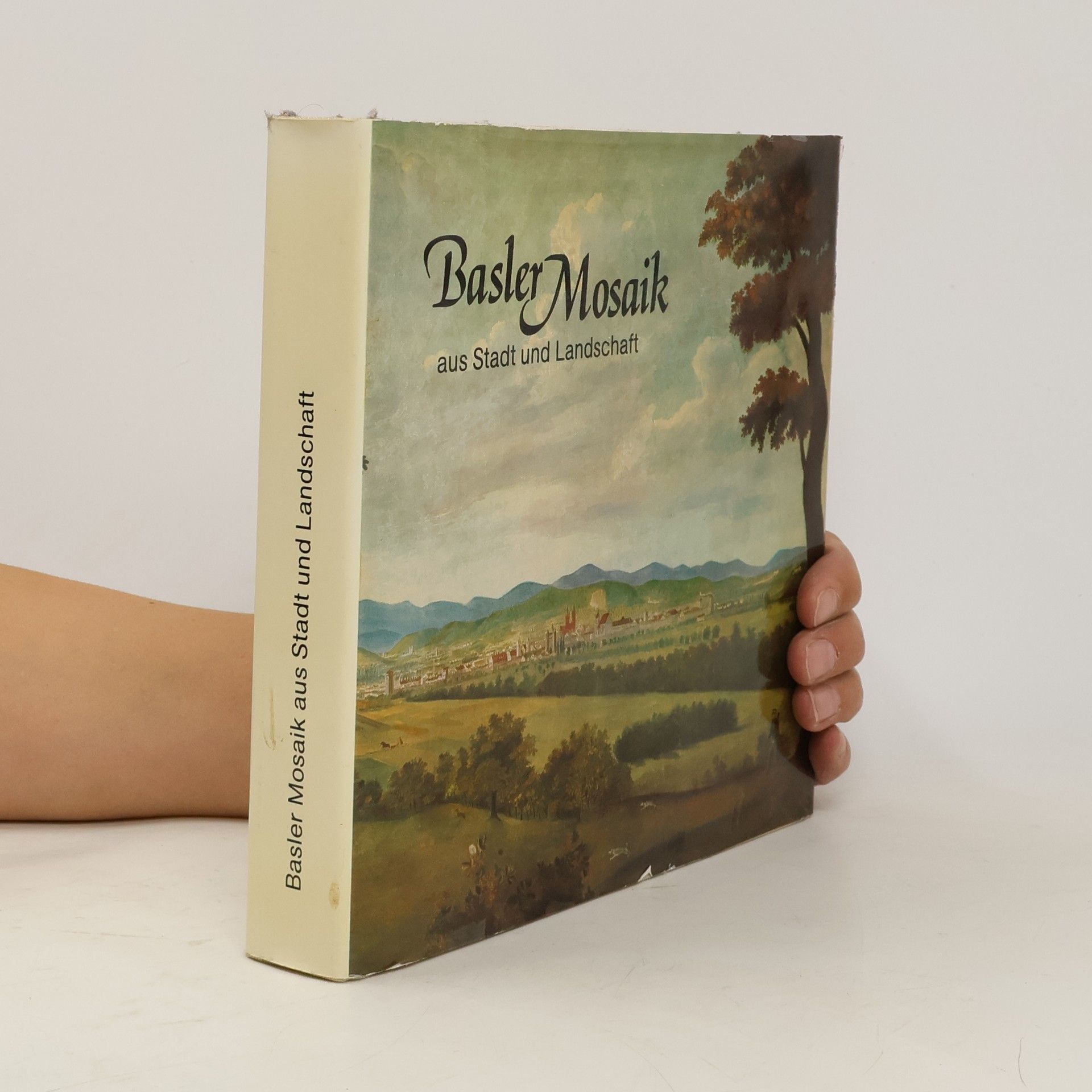 Leif Geiges Basler Mosaik aus Stadt und Landschaft