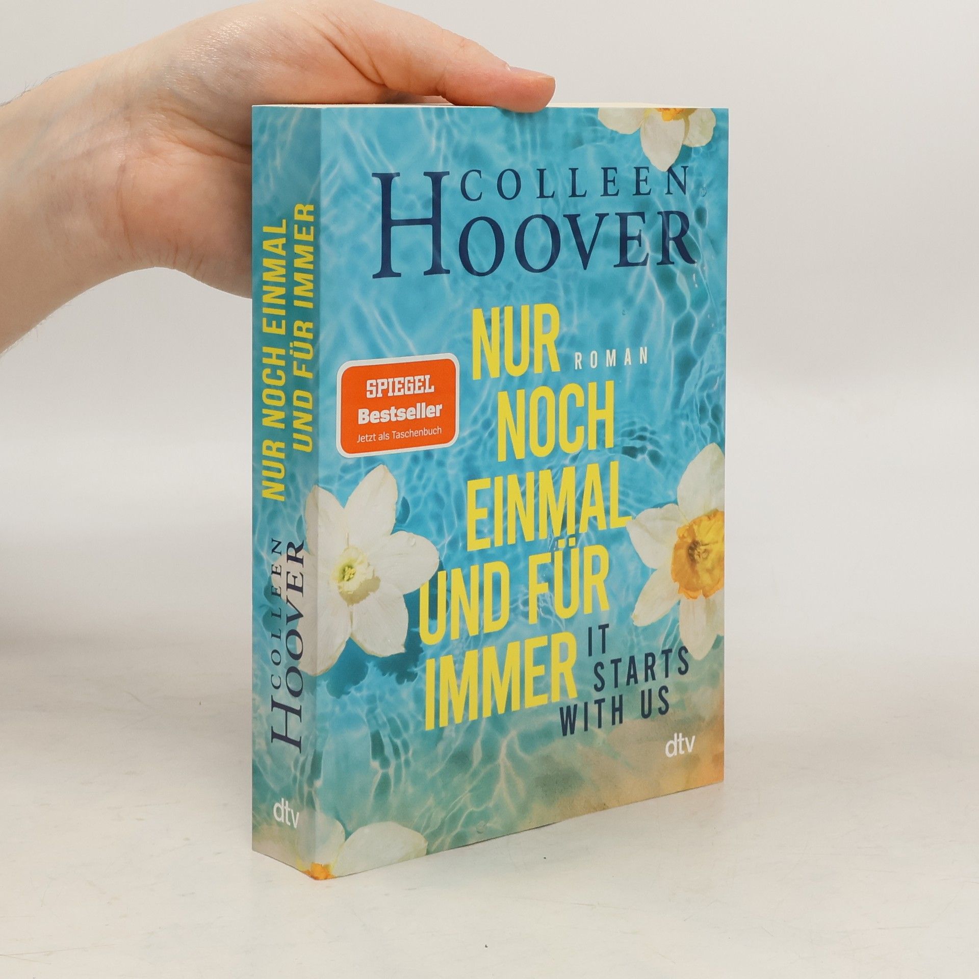 Colleen Hoover Nur noch einmal und für immer