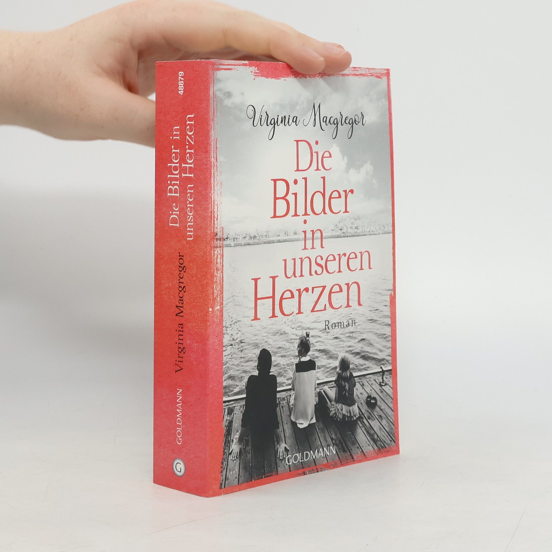 Virginia Macgregor Die Bilder in unseren Herzen