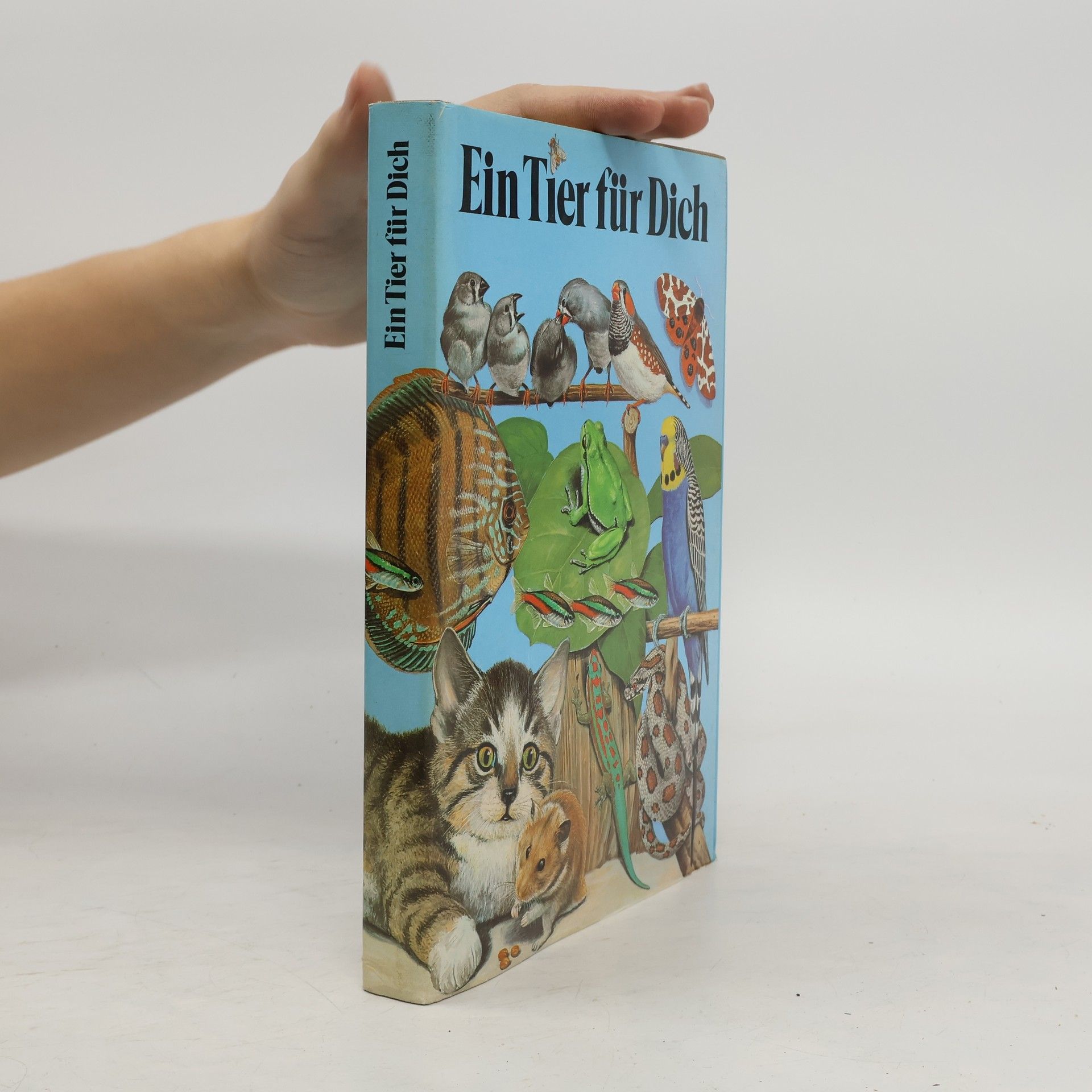 Autorenkollektiv Ein Tier für dich