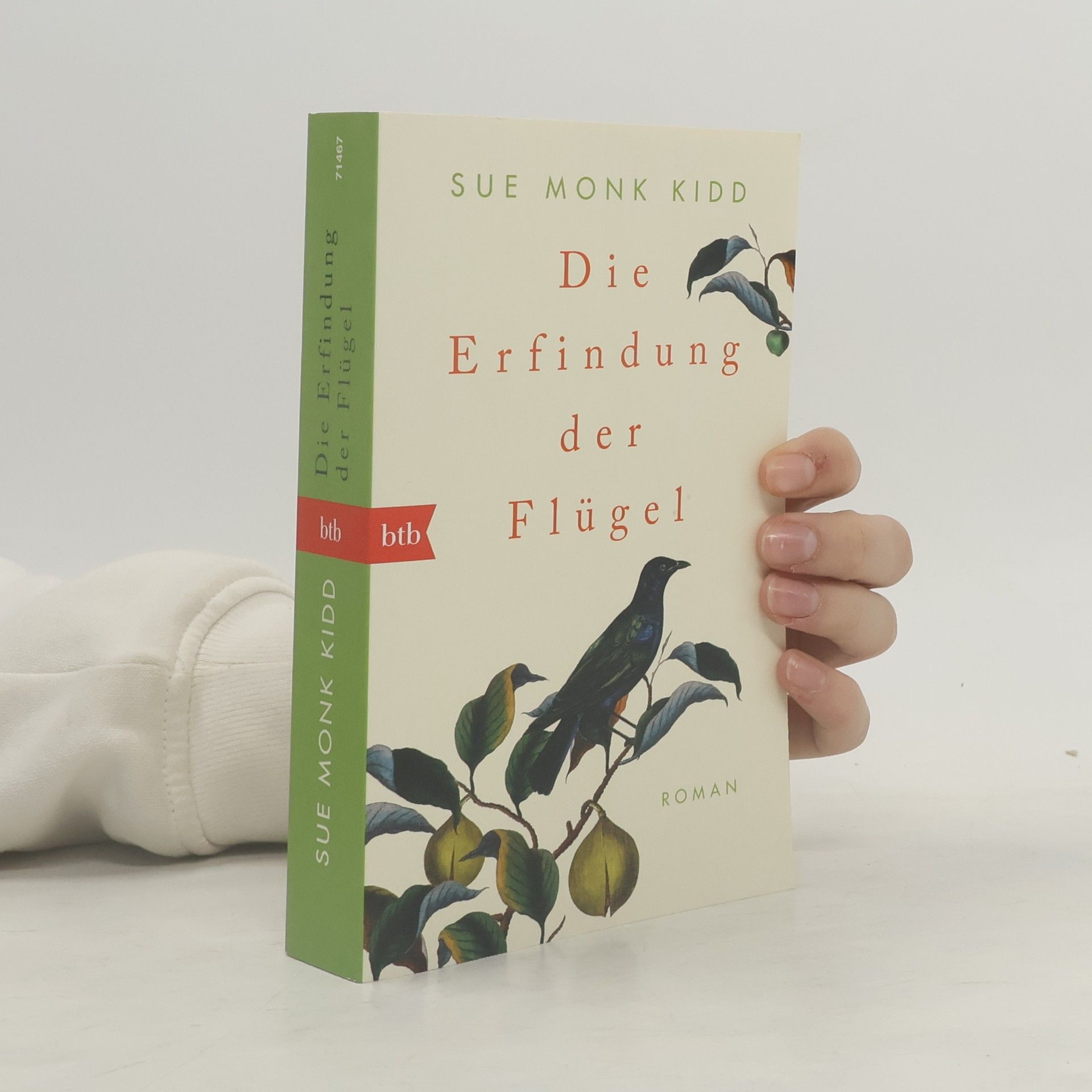 Sue Monk Kidd Die Erfindung der Flügel