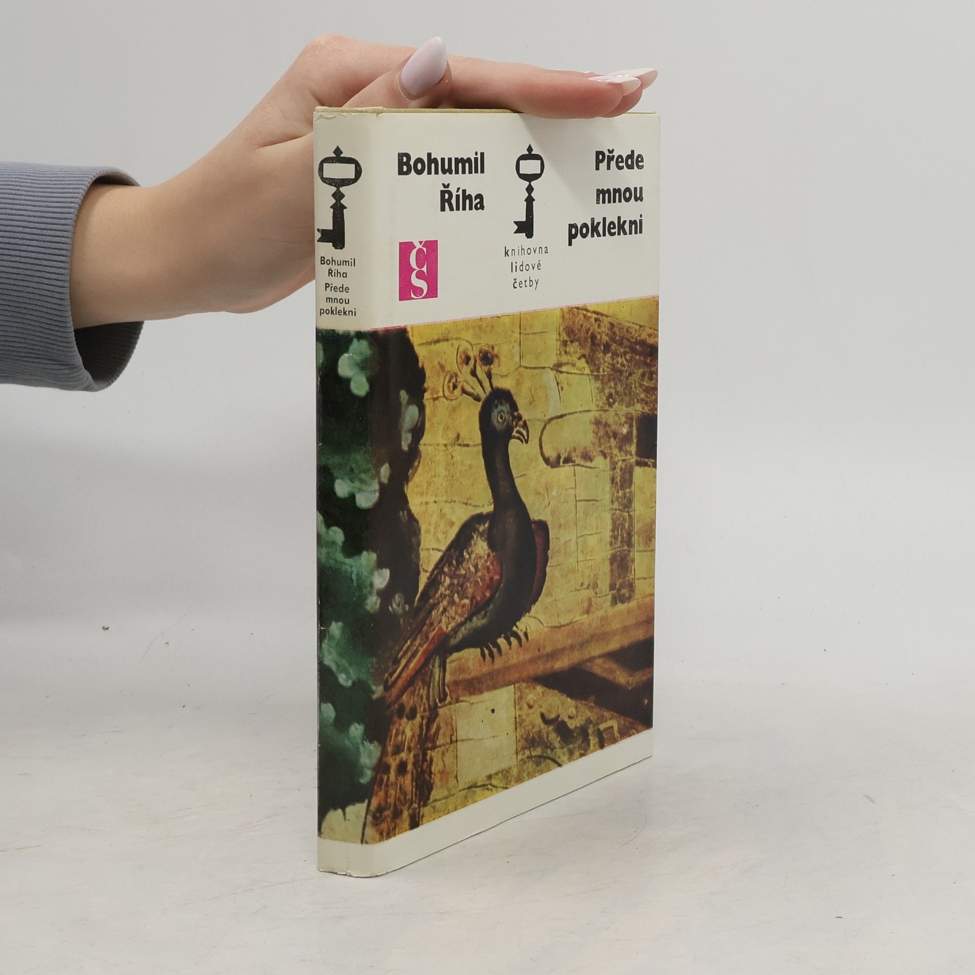 Přede mnou poklekni