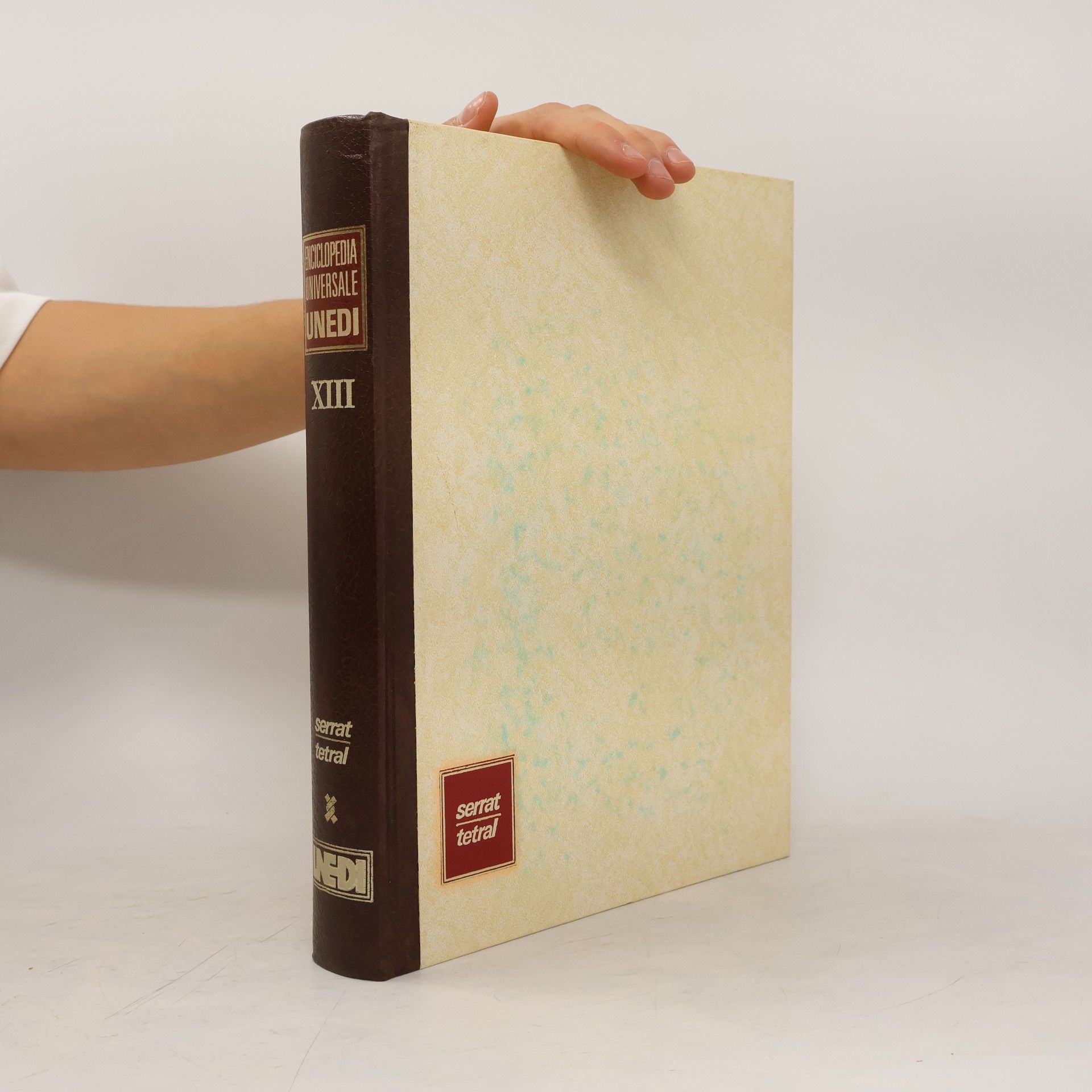 AA.VV. Enciclopedia universale unedi XIII