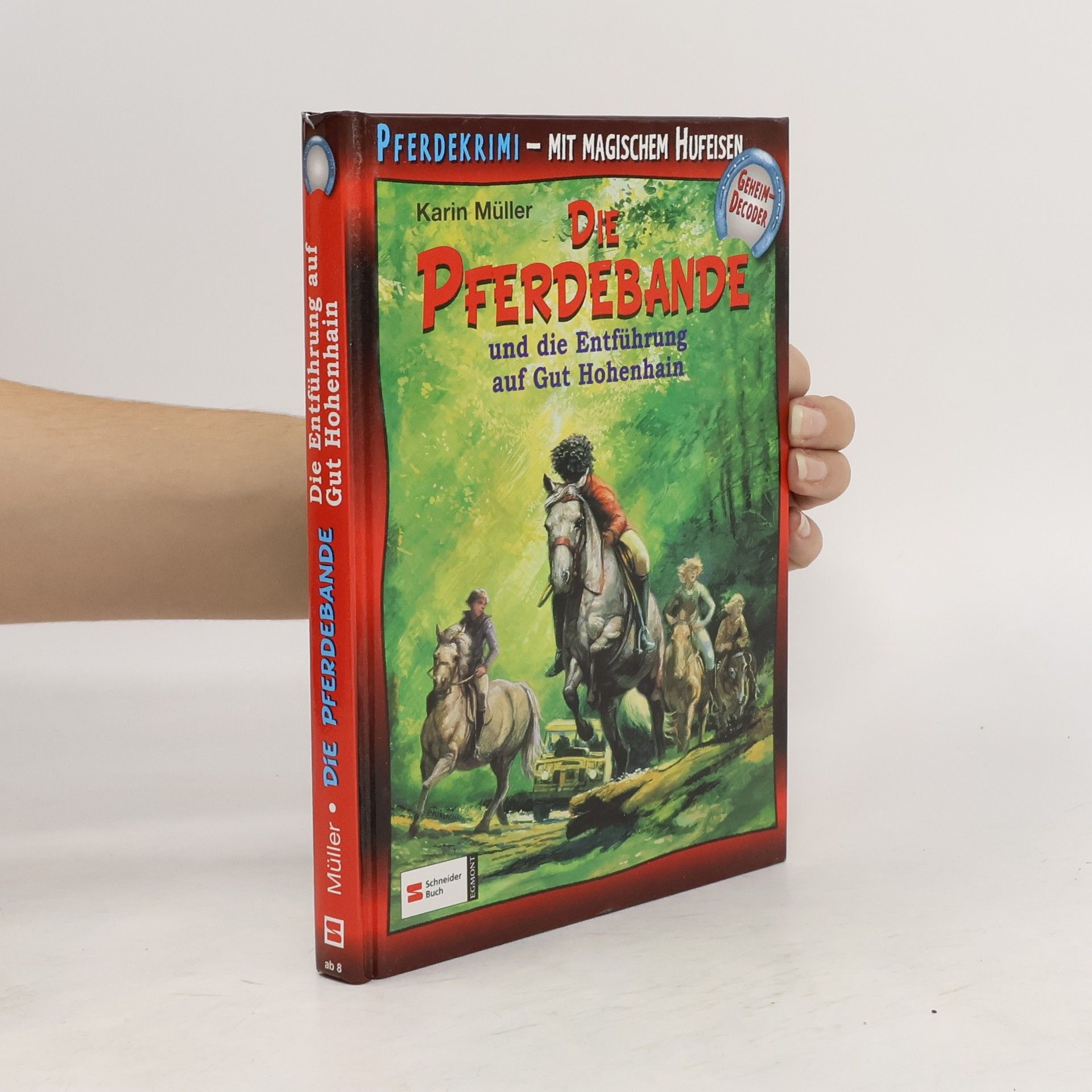 Karin Müller Die Pferdebande und die Entführung auf Gut Hohenhain