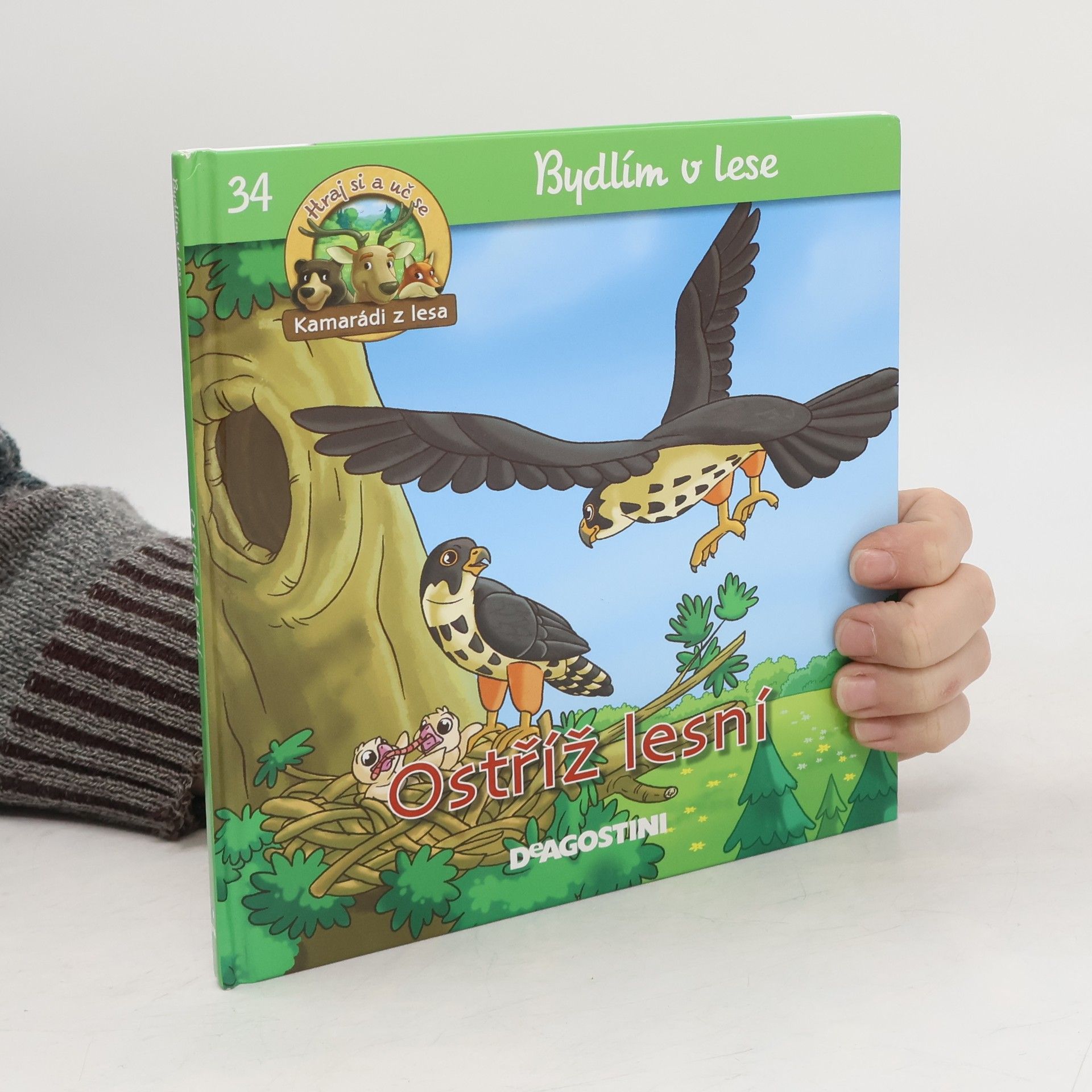 Autorenkollektiv Bydlím v lese. Ostříž lesní. 34