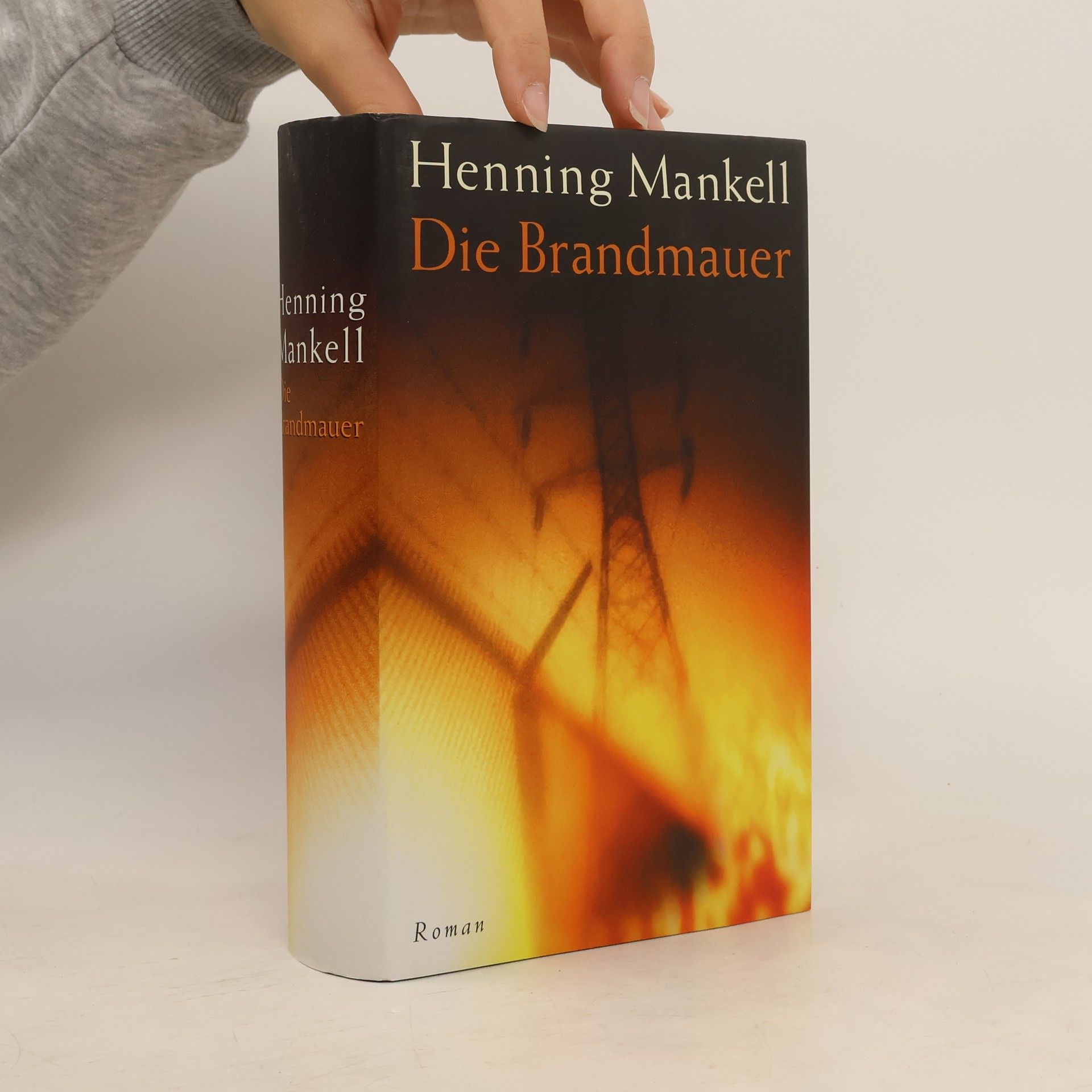 Henning Mankell Die Brandmauer