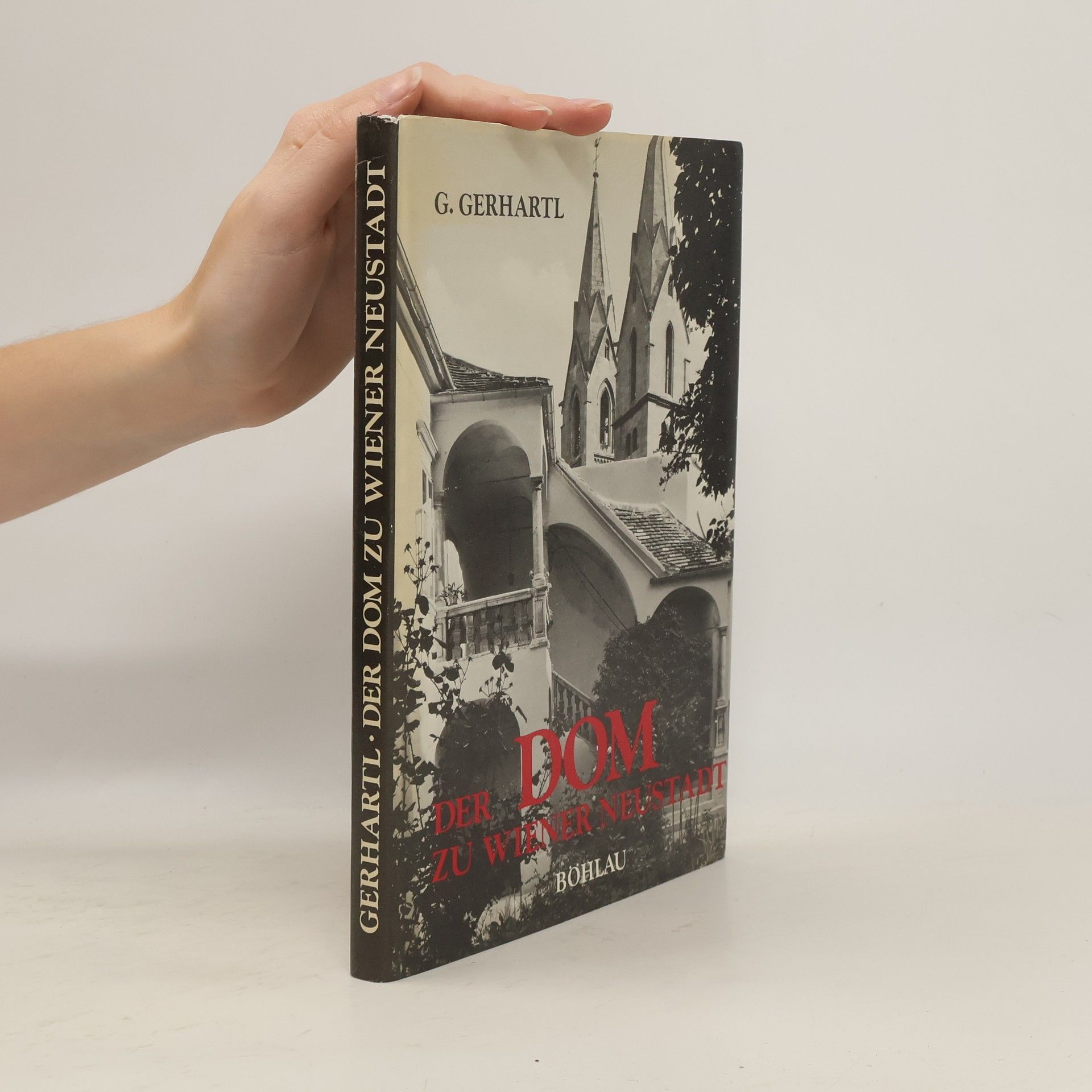 Gertrud Buttlar Der Dom zu Wiener Neustadt