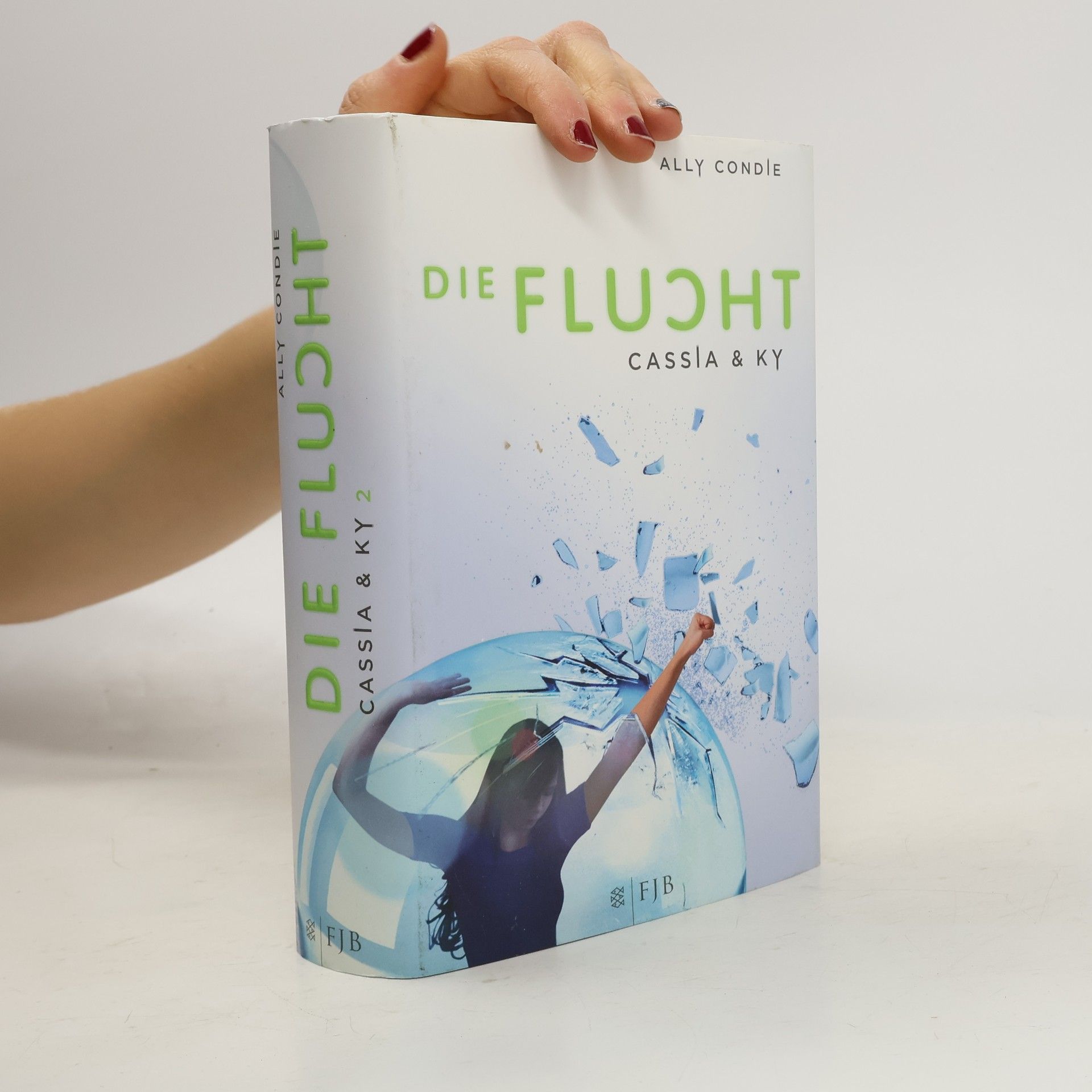 Ally Condie Die Flucht