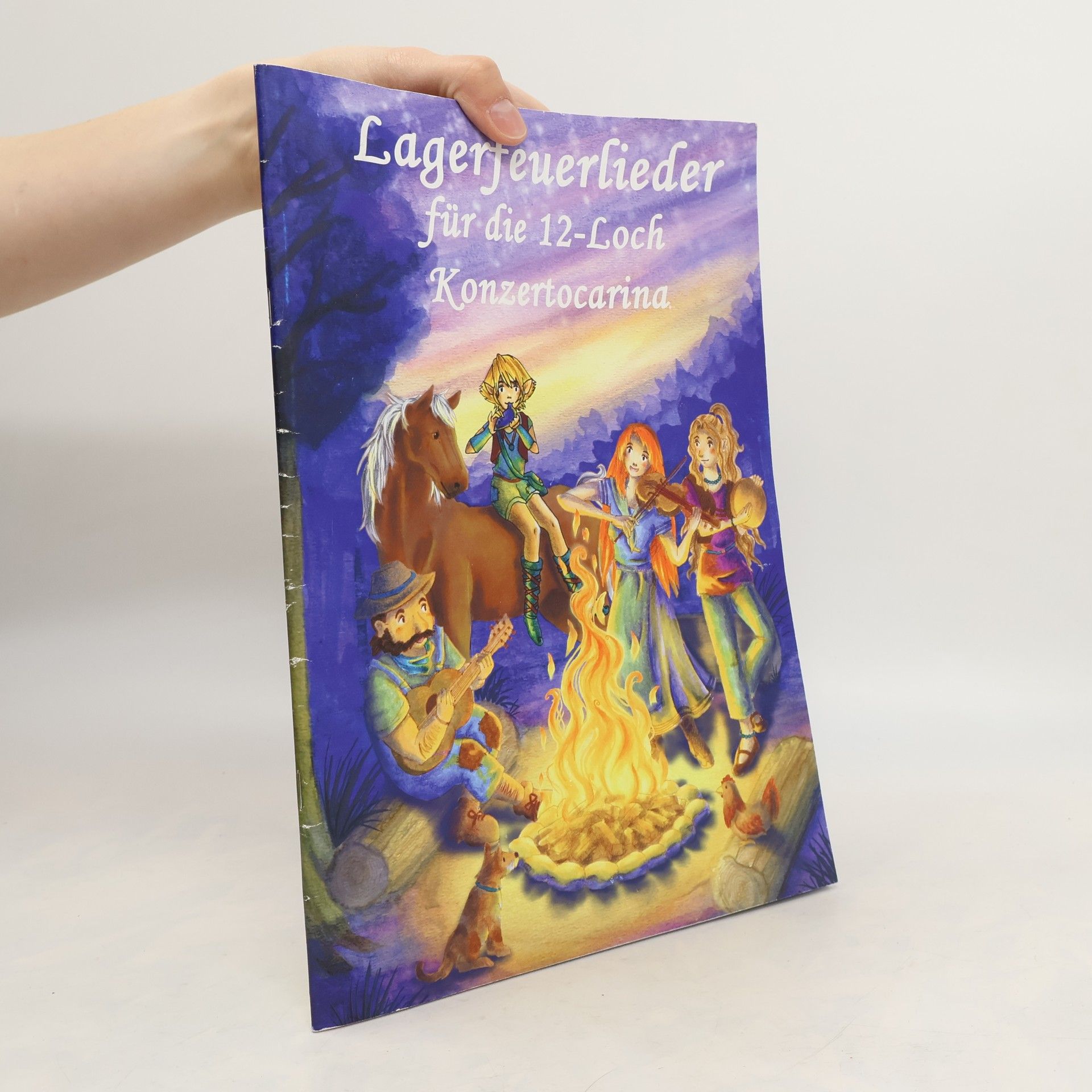 Collectif d'auteurs Lagerfeuerlieder für die 12-Loch Konzertocarina