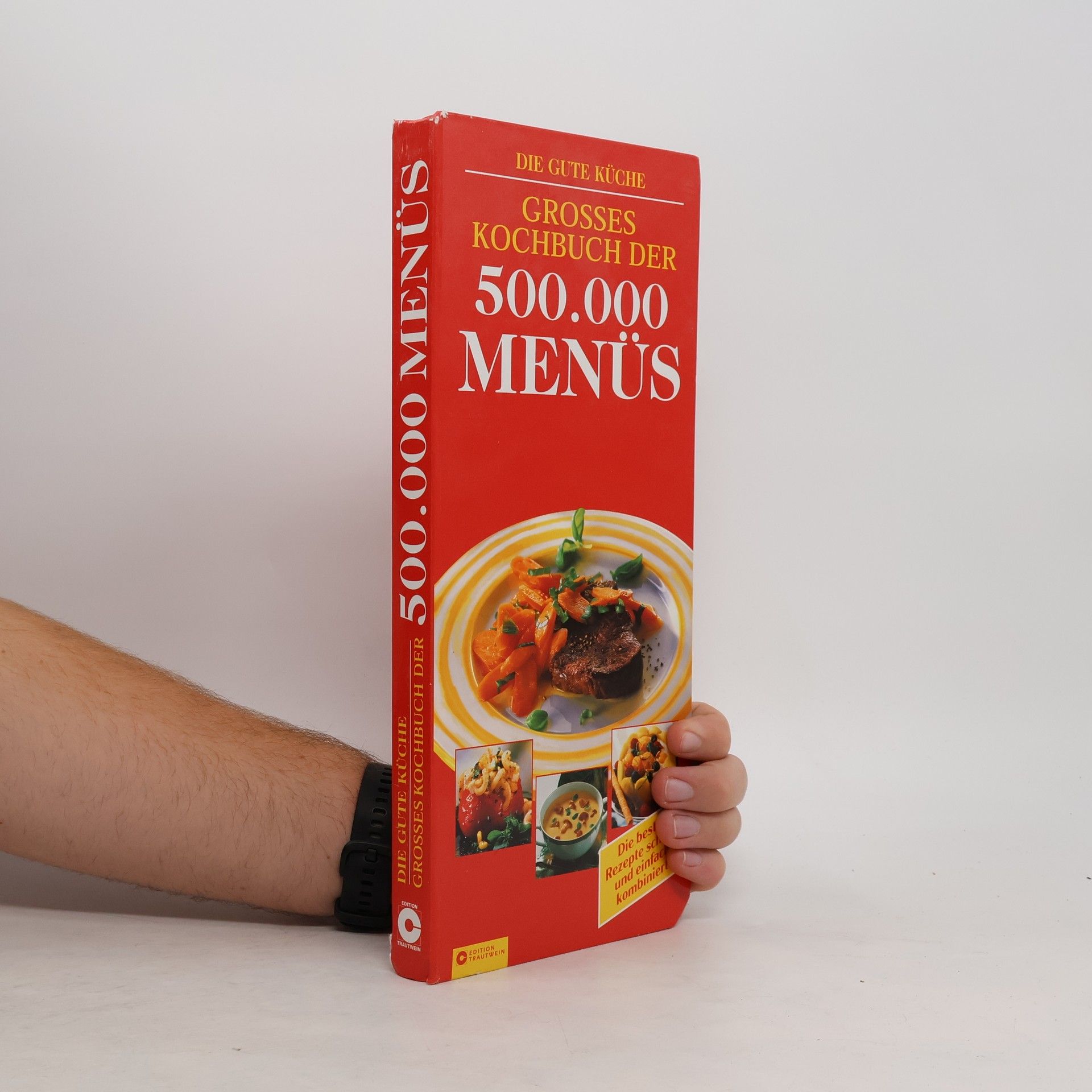 Großes Kochbuch der 500.000 Menüs