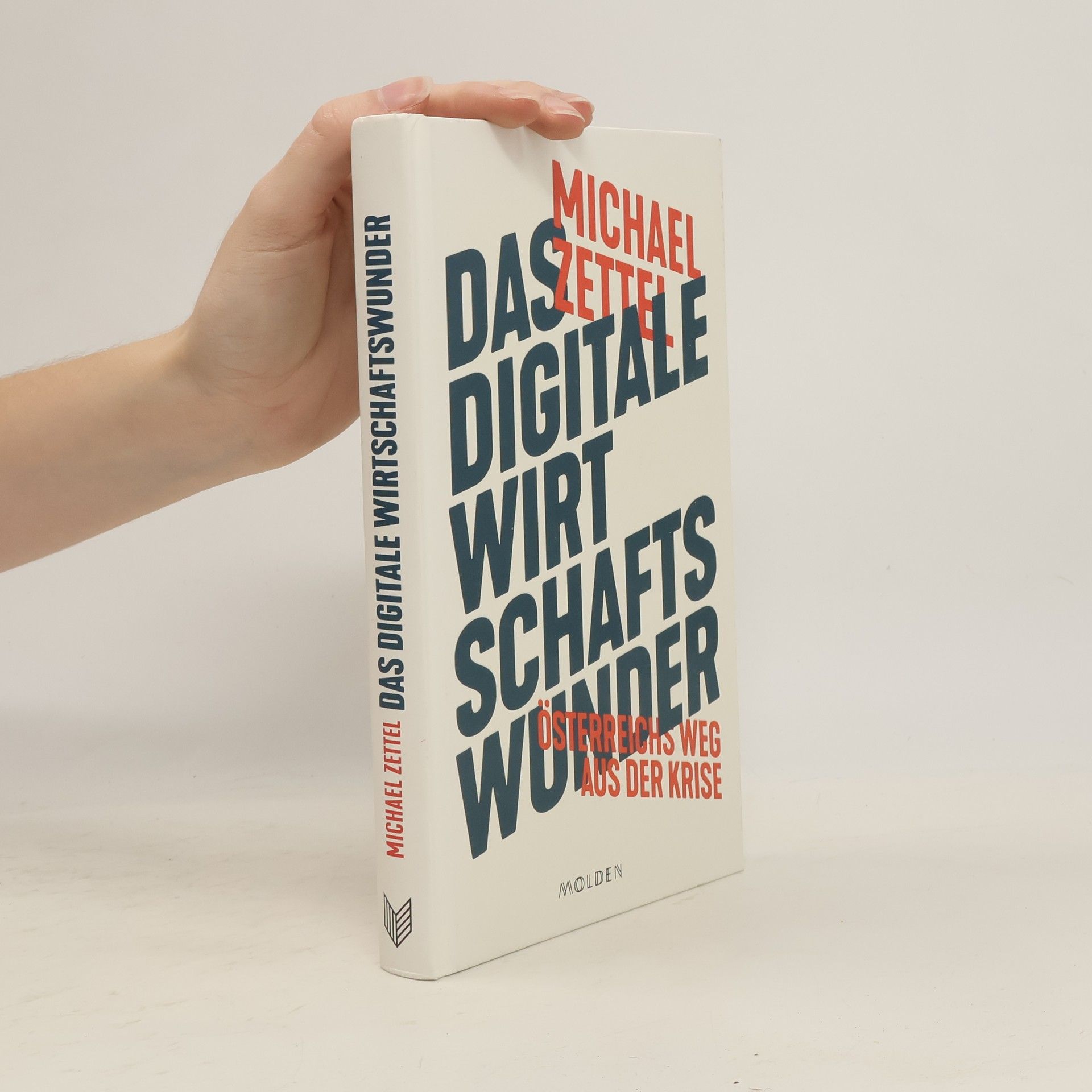 Michael Zettel Das digitale Wirtschaftswunder