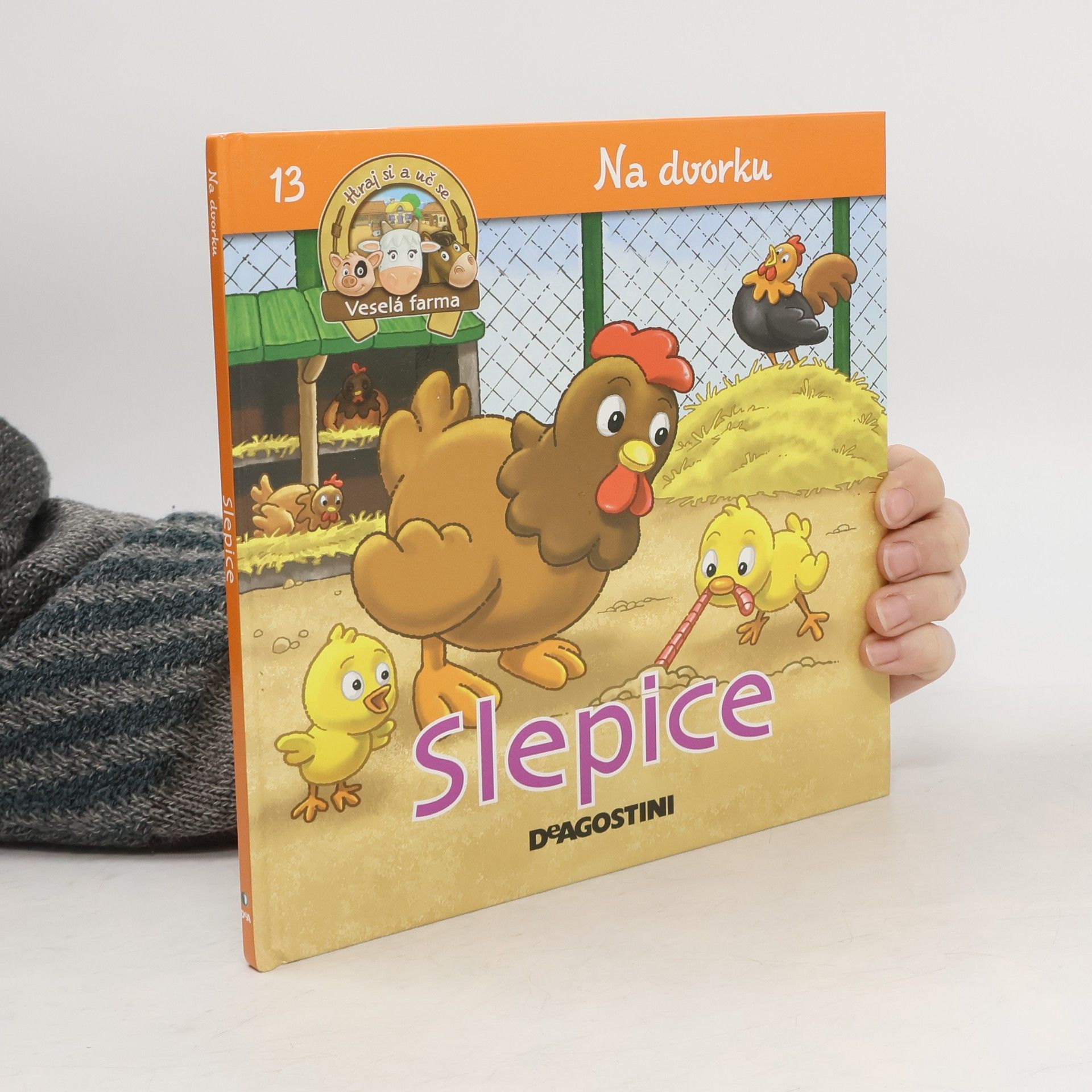 Kolektiv autorů Na dvorku 13. Slepice