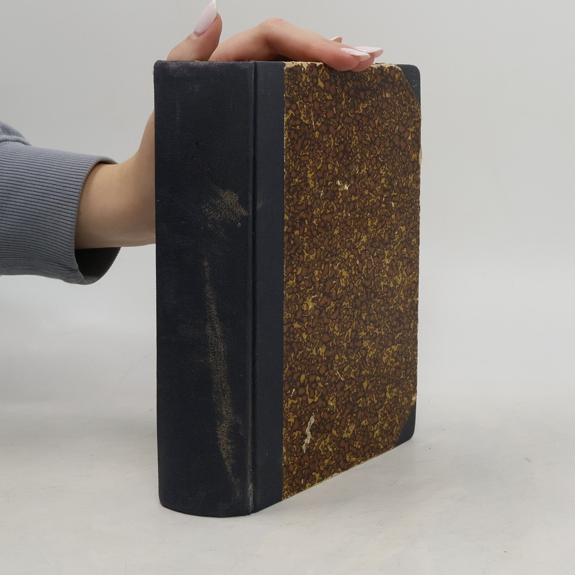 Aug. Nevšímal Obecný zákonník občanský mocnářství rakouského