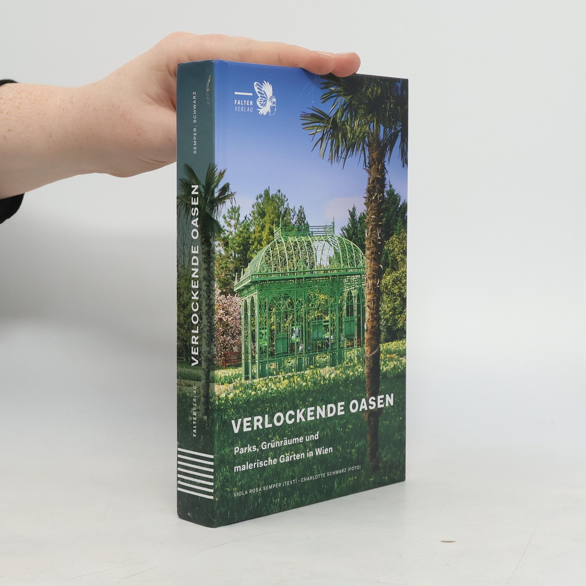 Viola Rosa Semper Verlockende Oasen