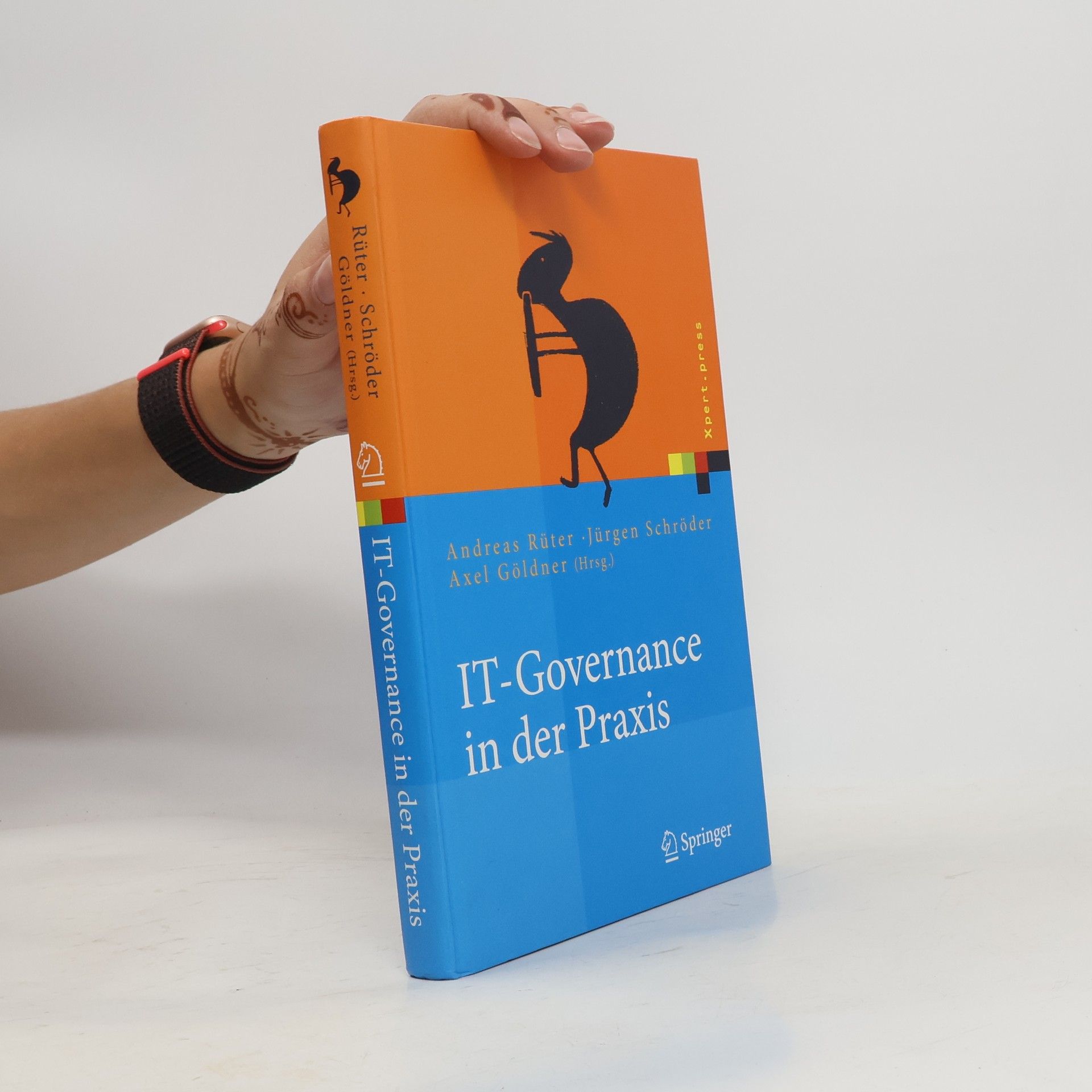 Andreas Rüter IT-Governance in der Praxis