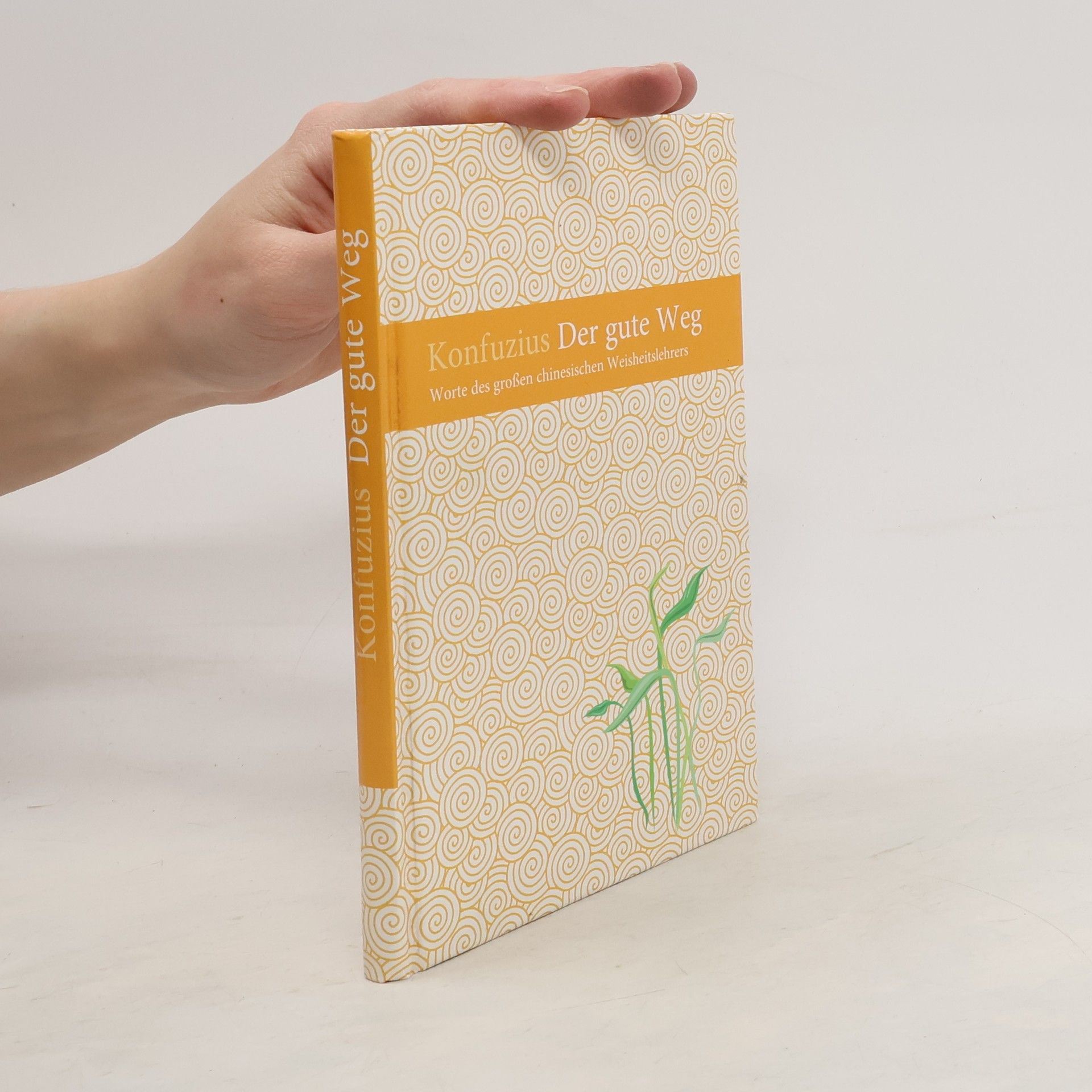 Konfucius Der gute Weg