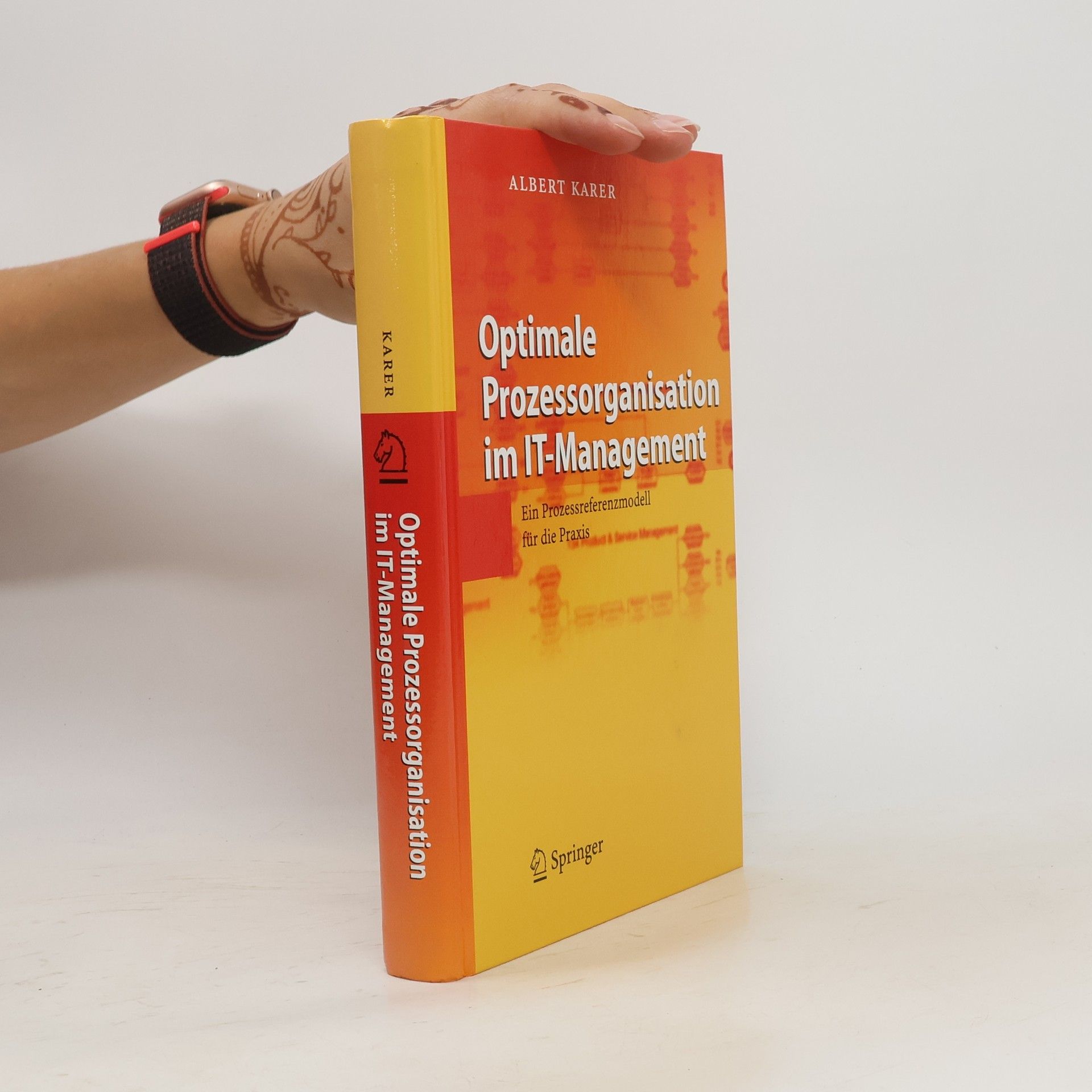 Albert Karer Optimale Prozessorganisation im IT-Management