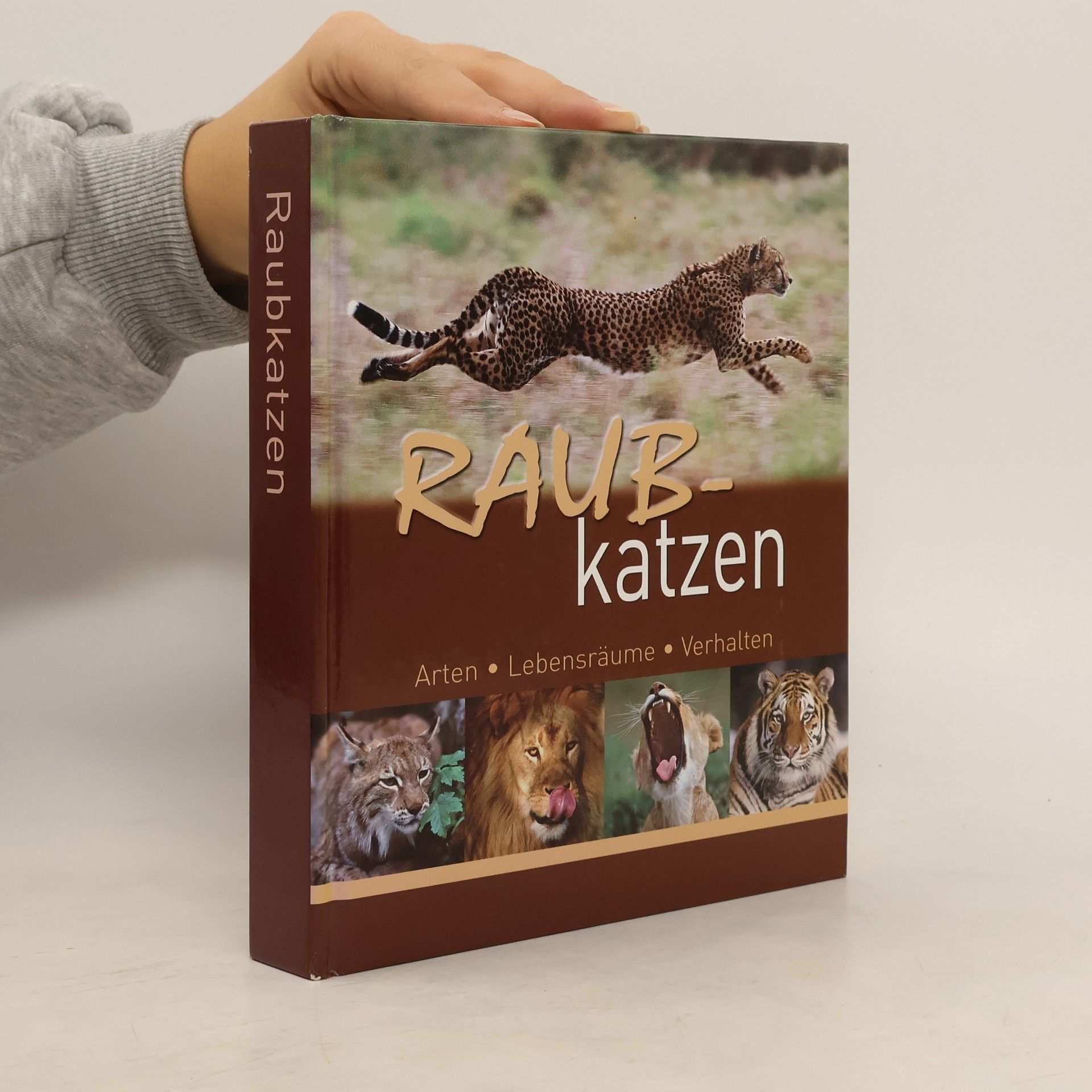 Hans W. Kothe Raub-katzen