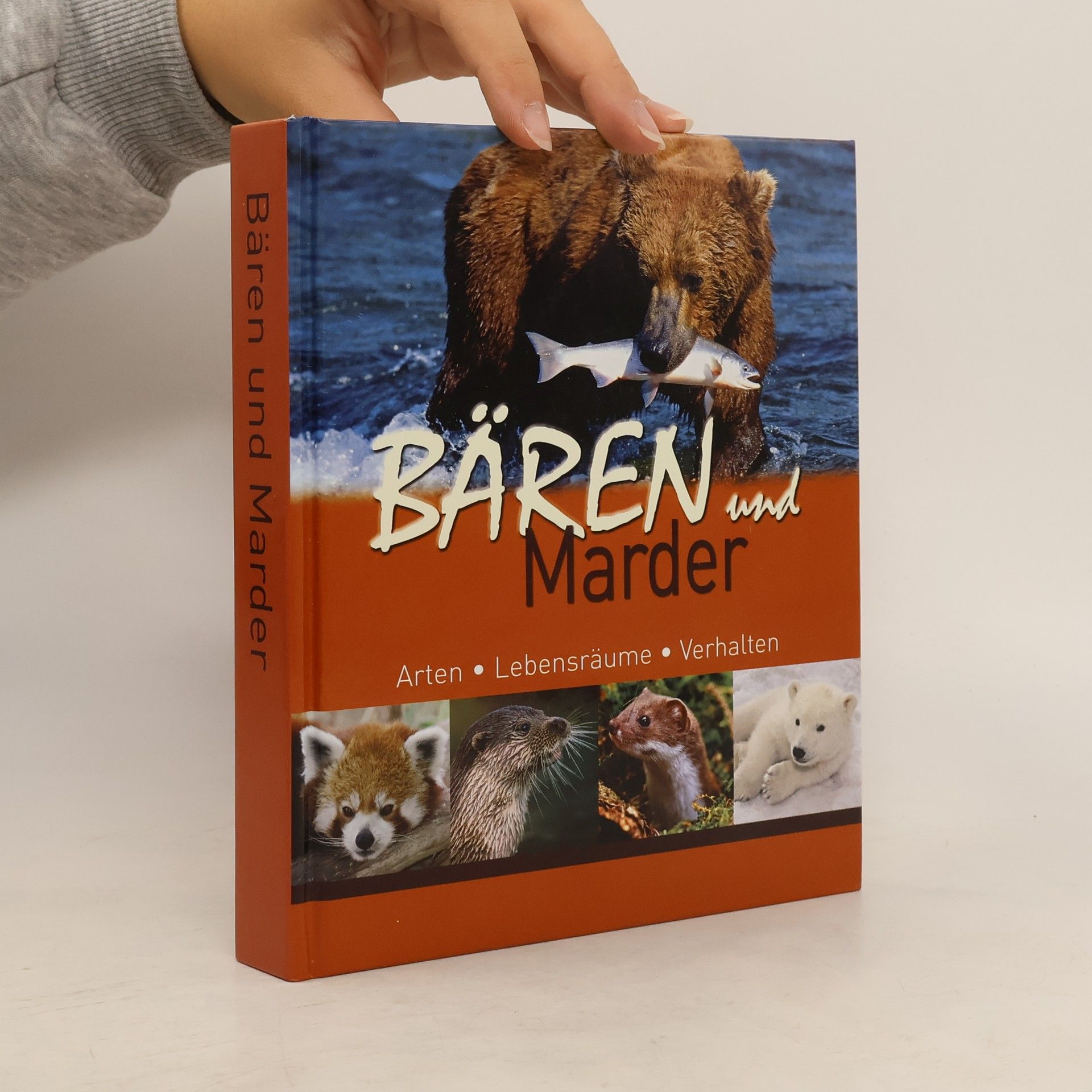 Autores varios Bären und Marder. Arten. Lebensräume. Verhalen