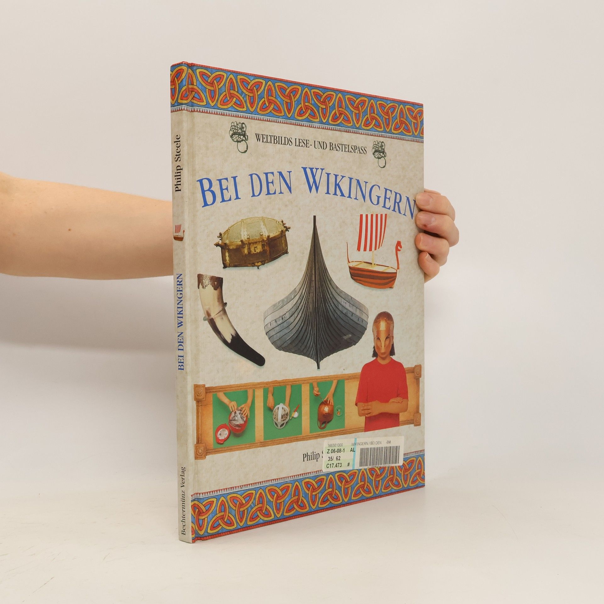 Philip Steele Bei den Wikingern