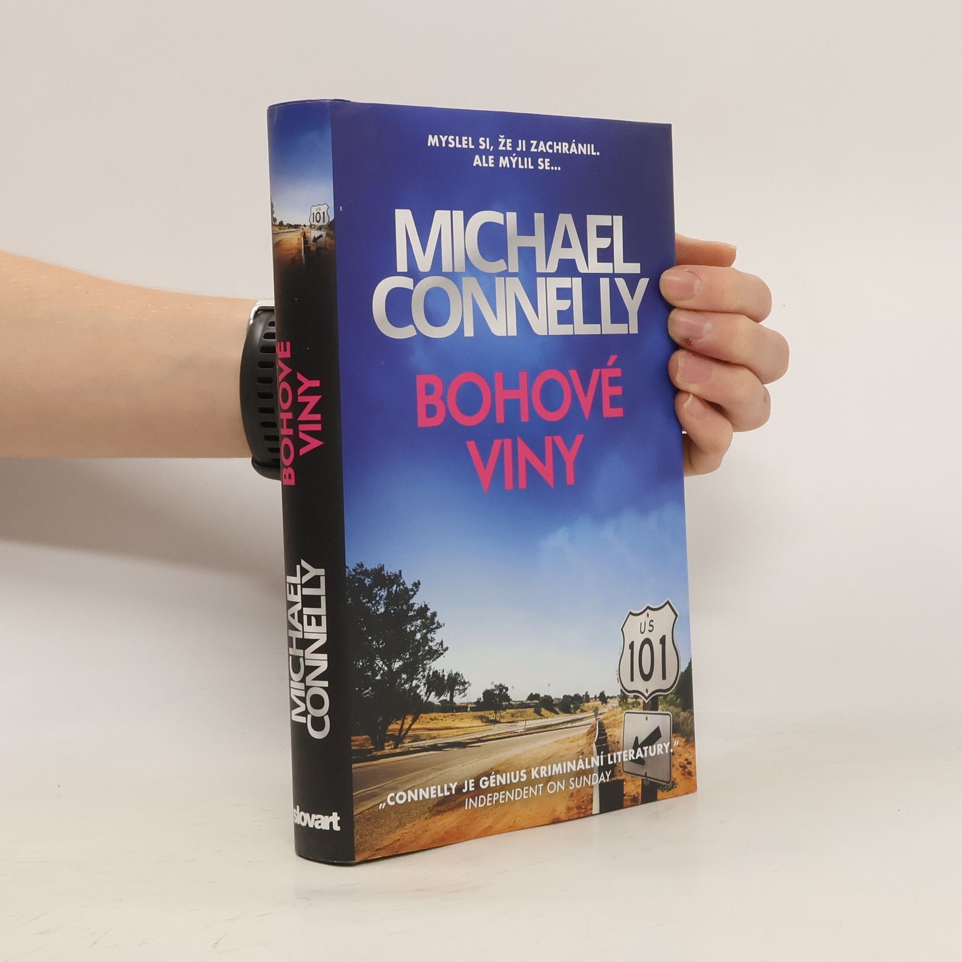 Michael Connelly Bohové viny