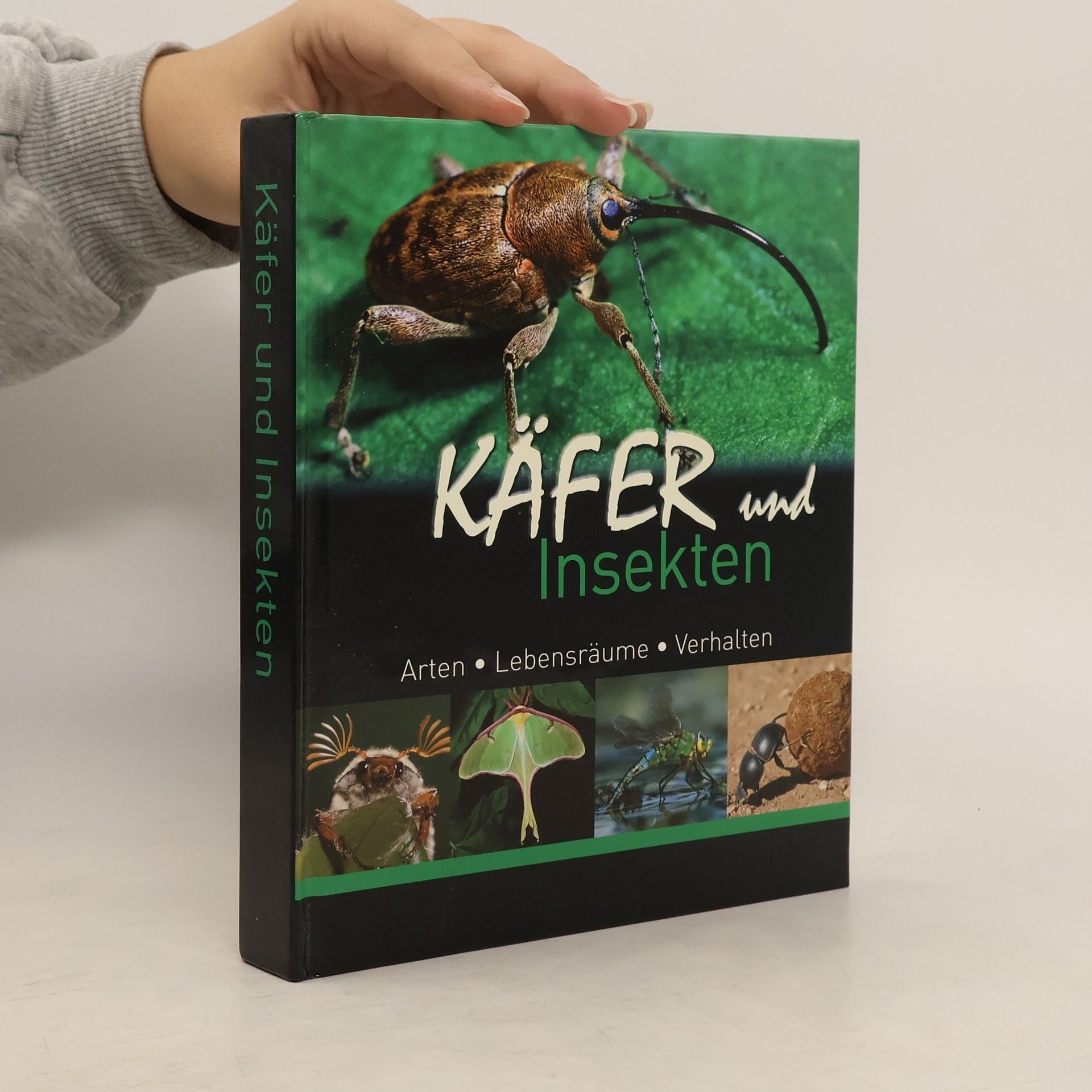 Kolektiv autorů Käfer und Insekten