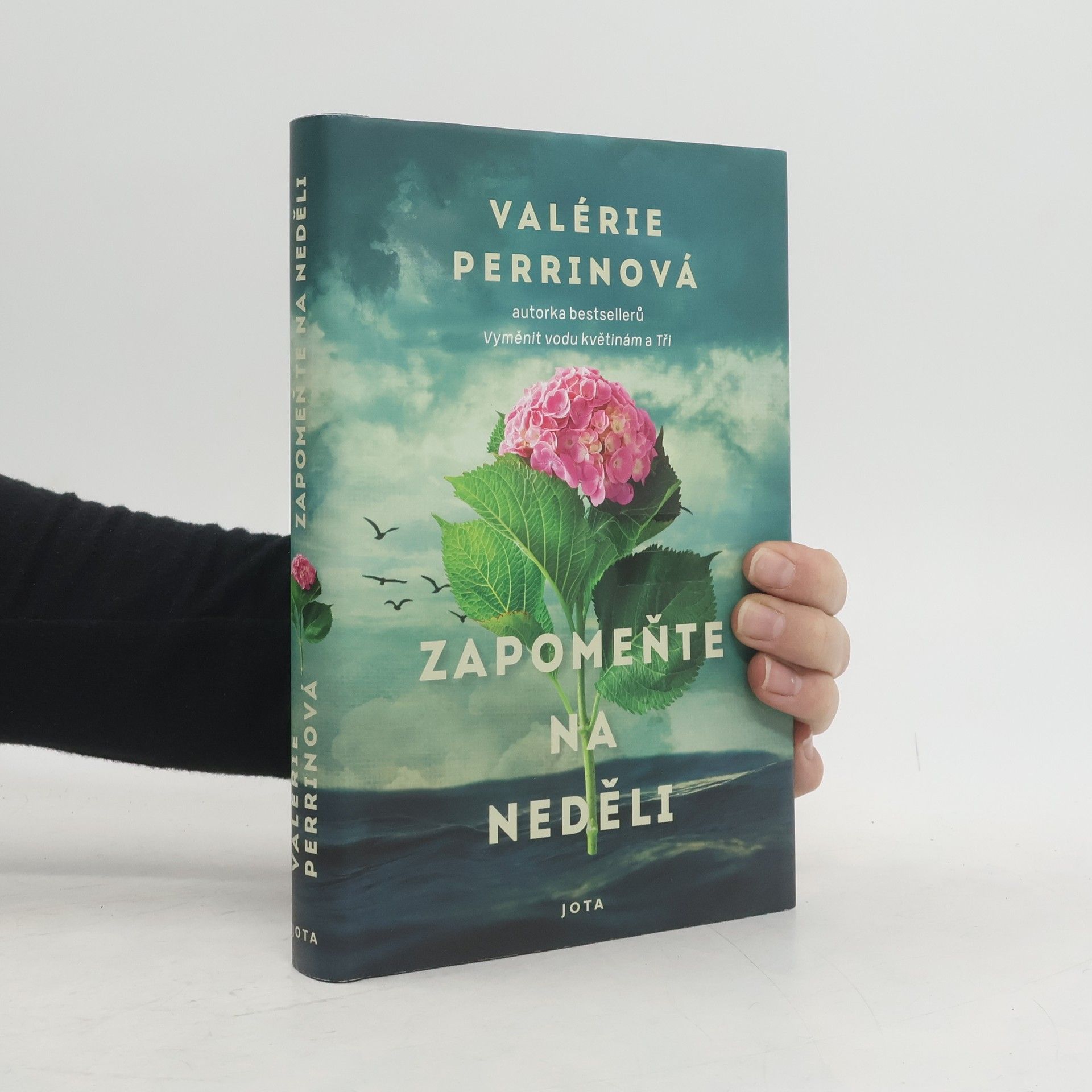 Jitka Řihánková Zapomeňte na neděli