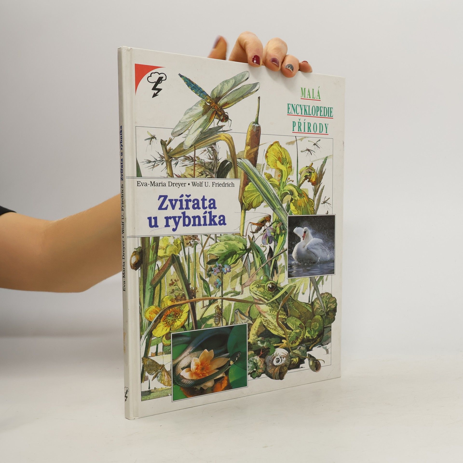 Eva-Maria Dreyer Zvířata u rybníka