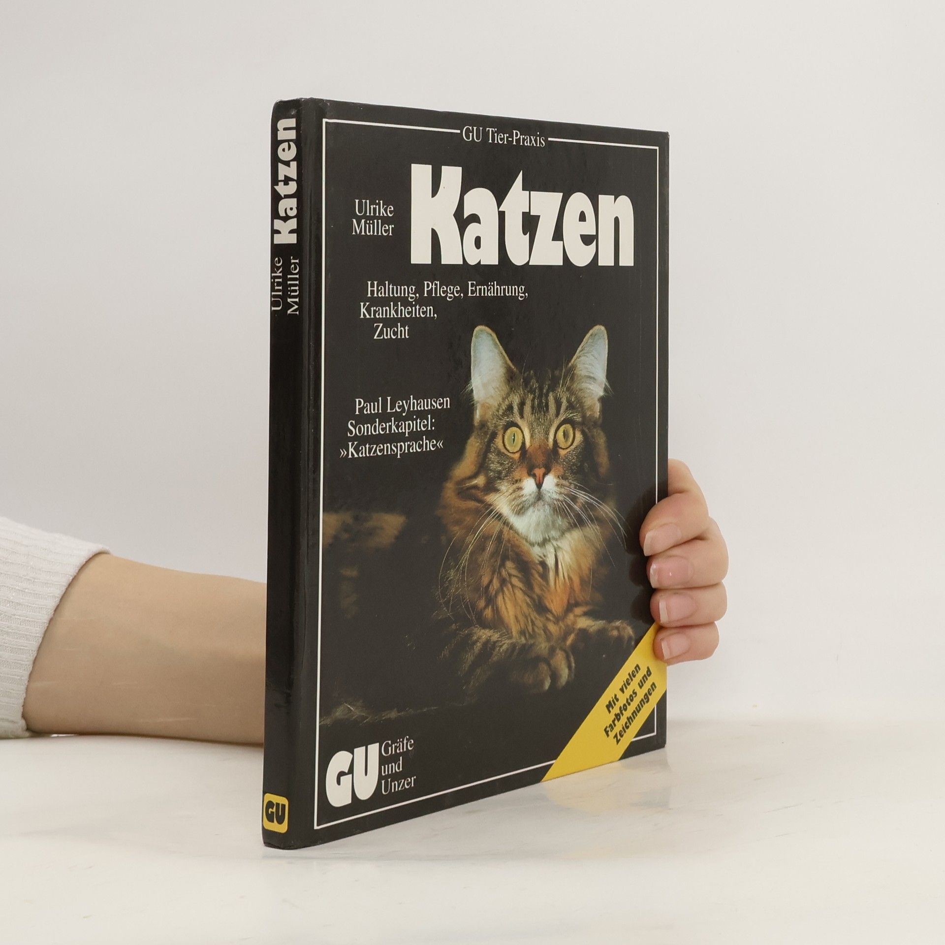 Ulrike Müller Katzen