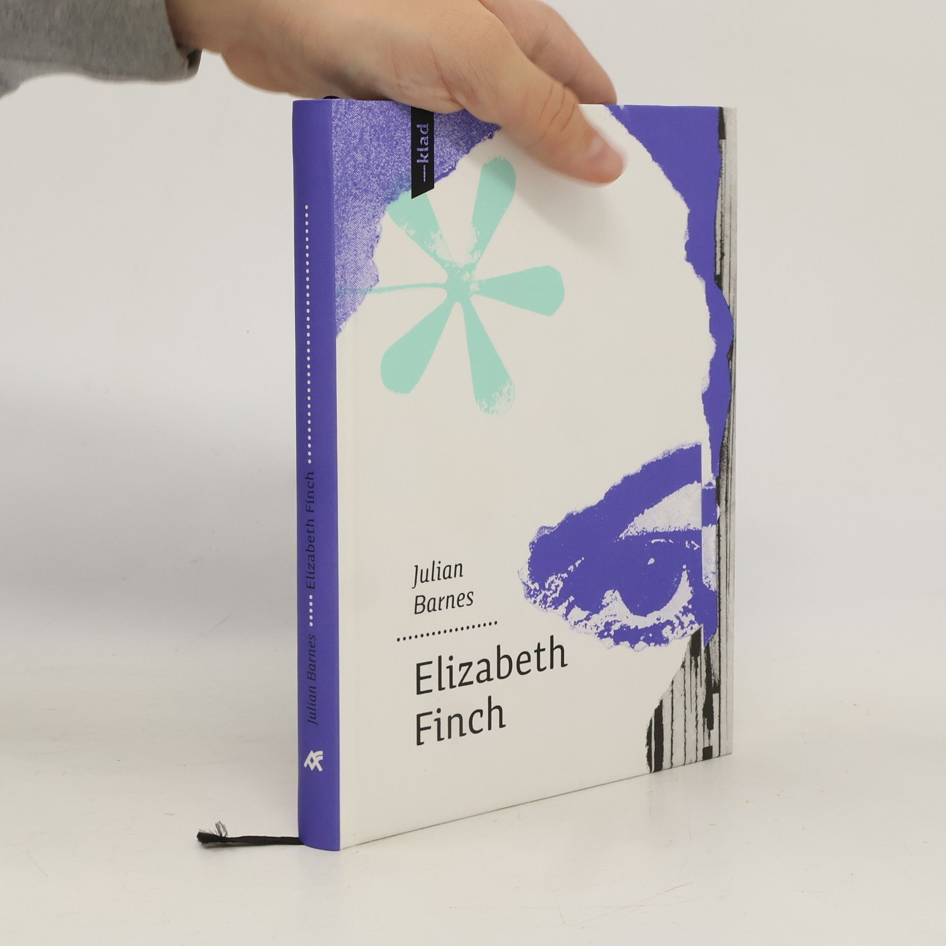 Julian Barnes Elizabeth Finch