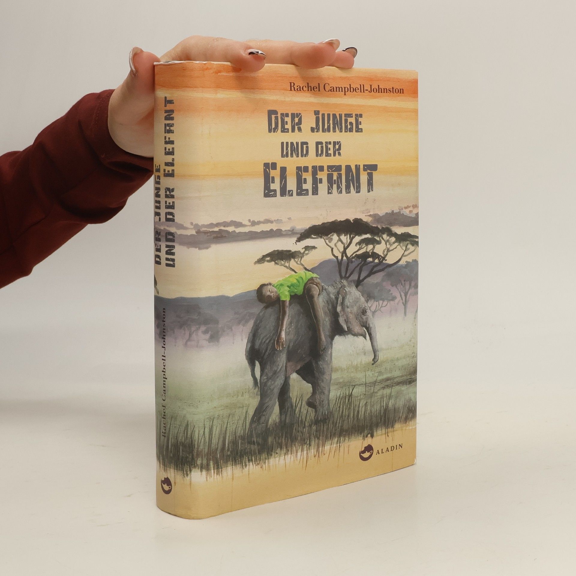 Rachel Campbell-Johnston Der Junge und der Elefant