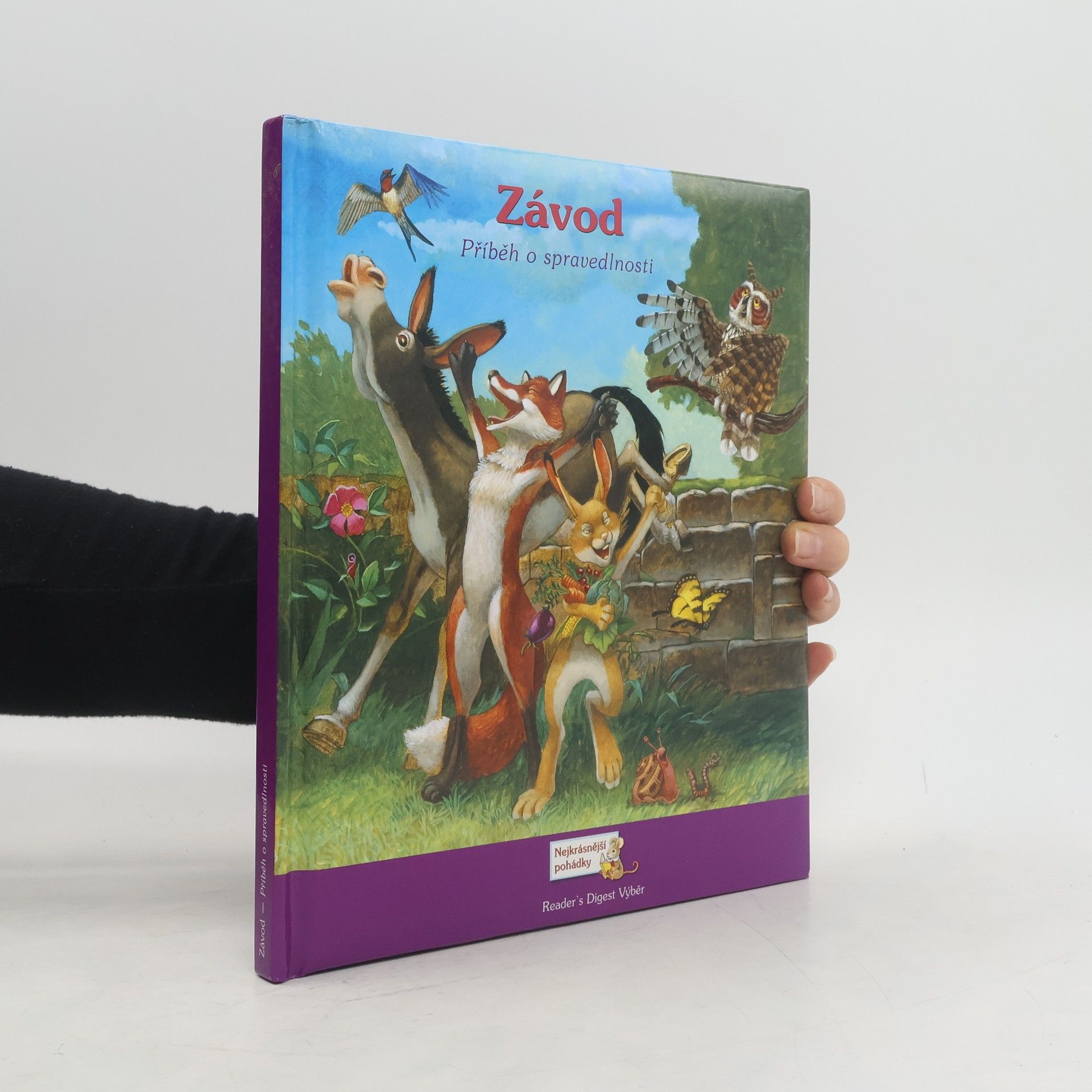 Závod : příběh o spravedlnosti