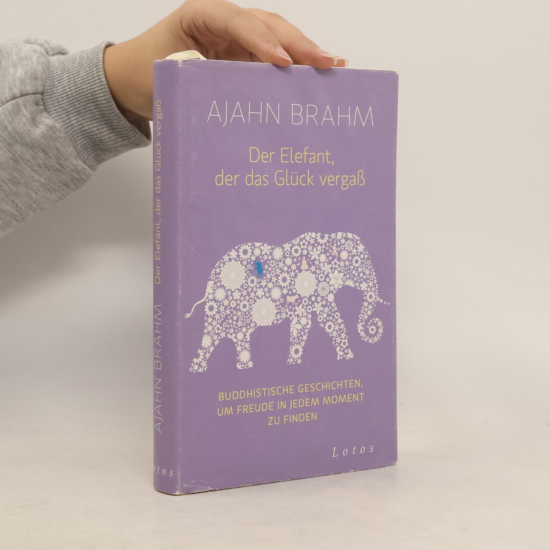 Der Elefant, der das Glück vergaß