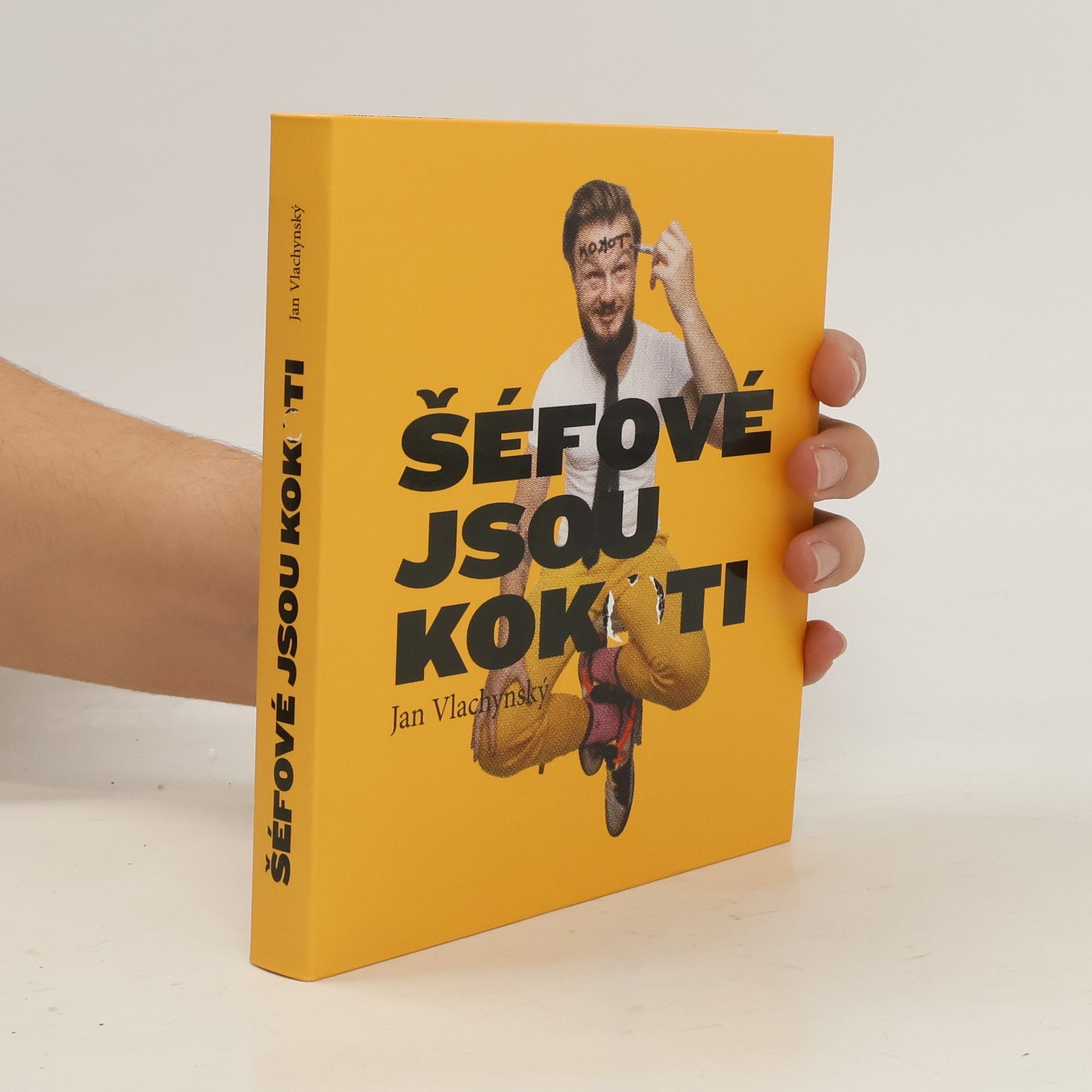 Jan Vlachynský Šéfové jsou kokoti