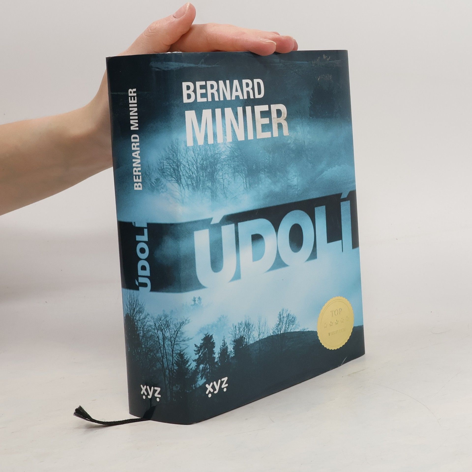 Bernard Minier Údolí
