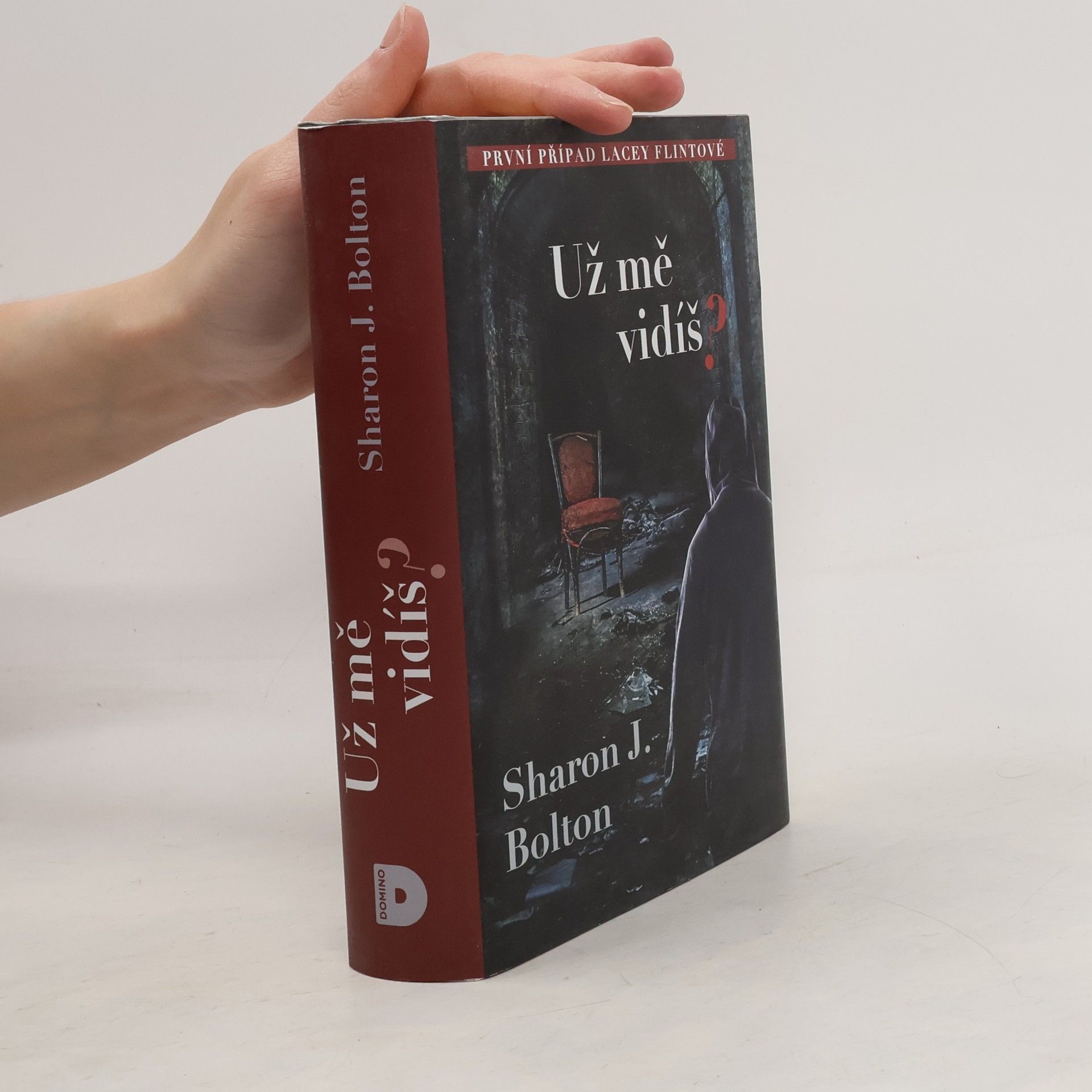 S. J. Bolton Už mě vidíš?