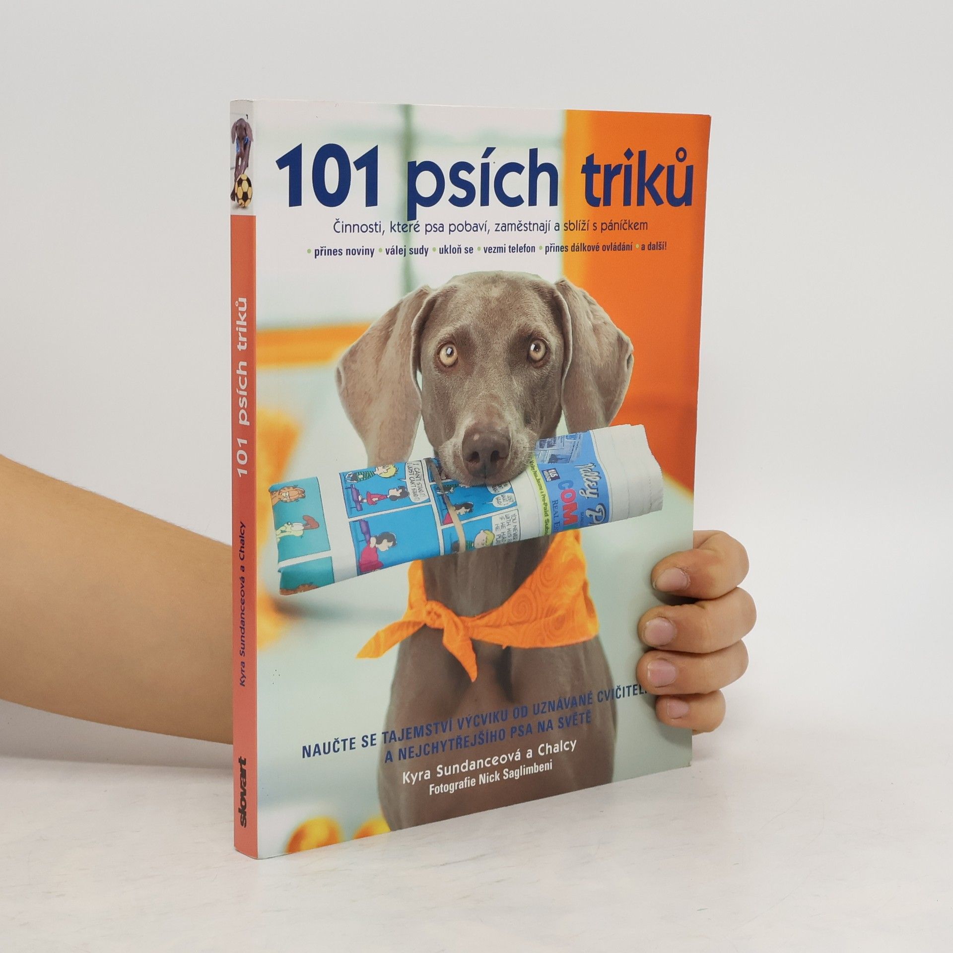 Kyra Sundance 101 psích triků : činnosti, které psa pobaví, zaměstnají a sblíží s páníčkem - krok za krokem