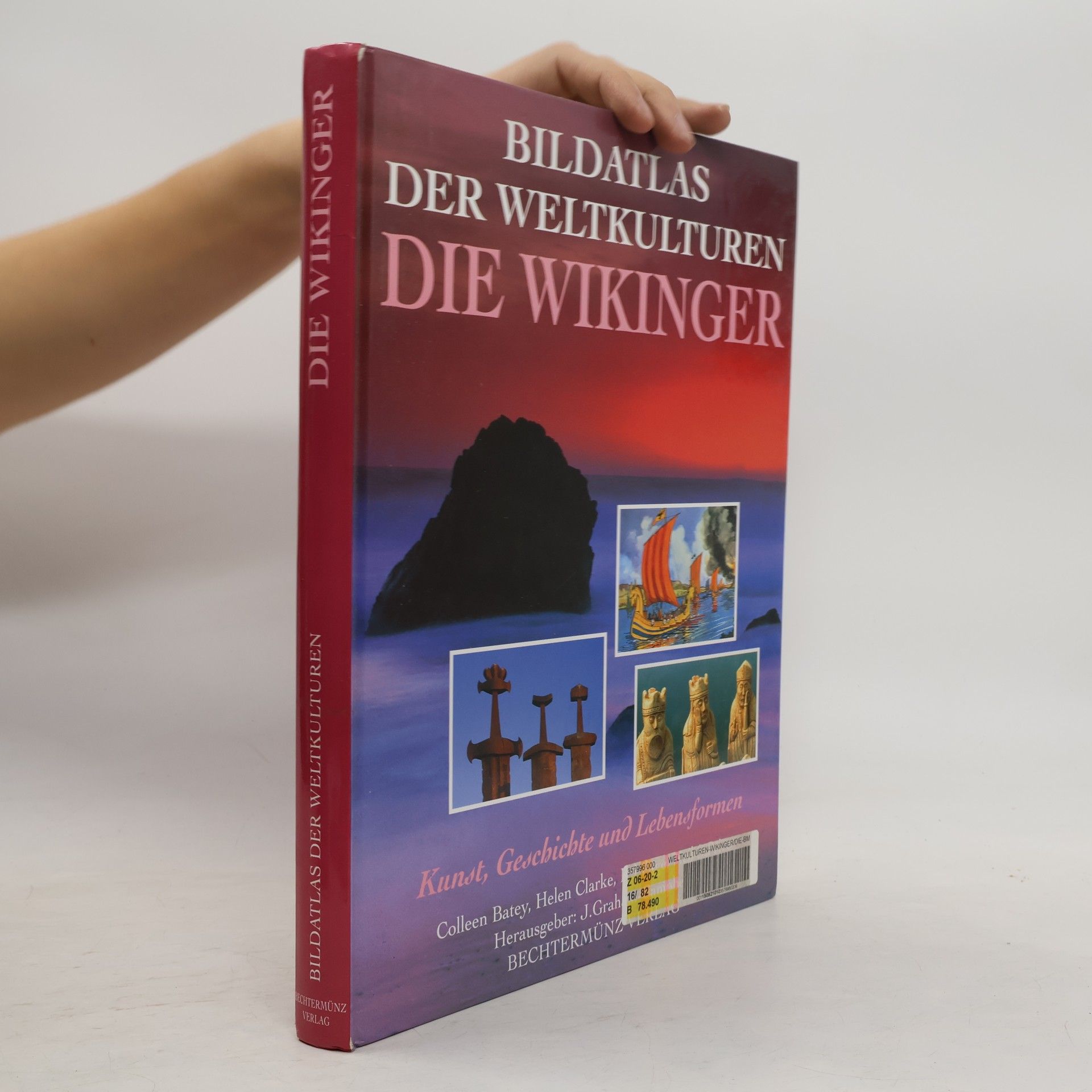 Die Wikinger